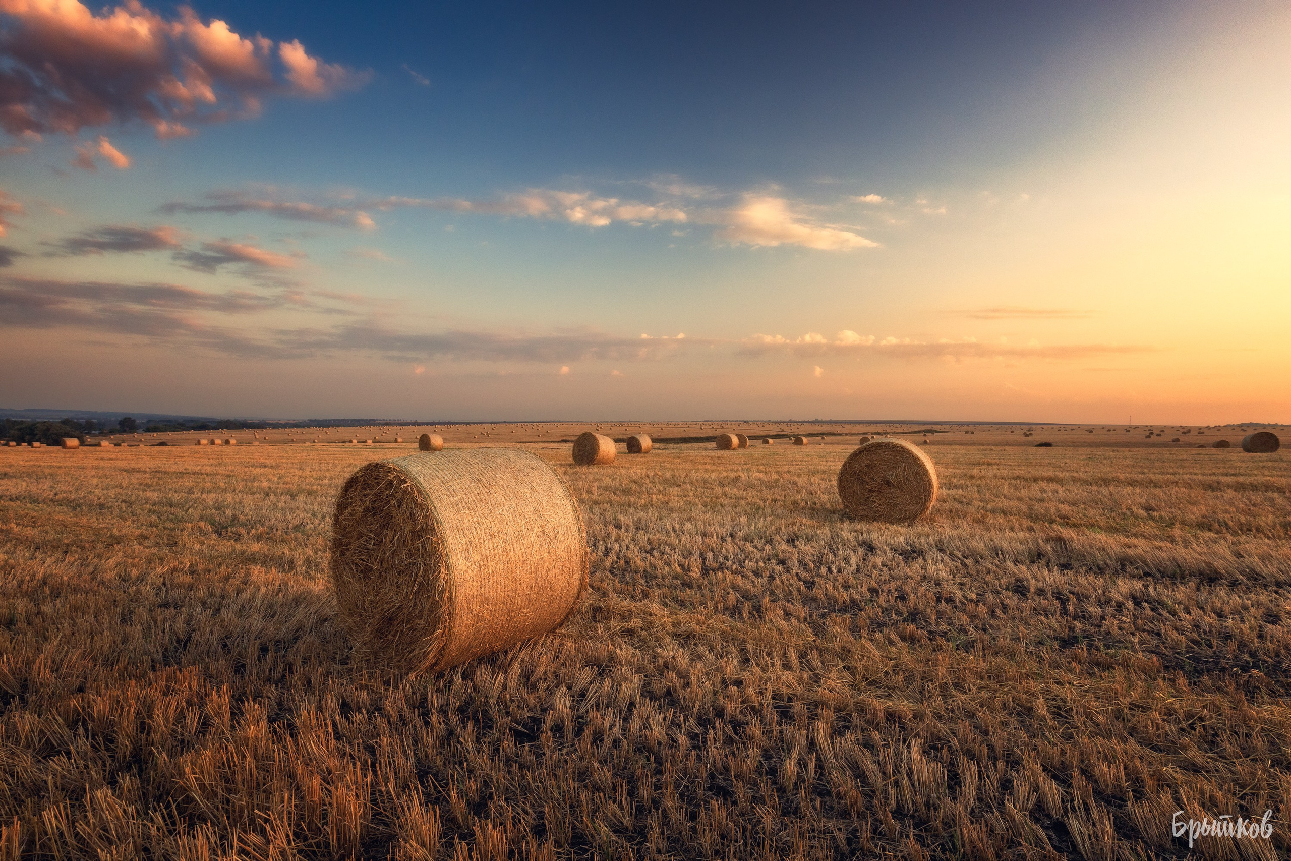 Поля. Сено в кругляшах. Николай Брытков — фотограф в Туле