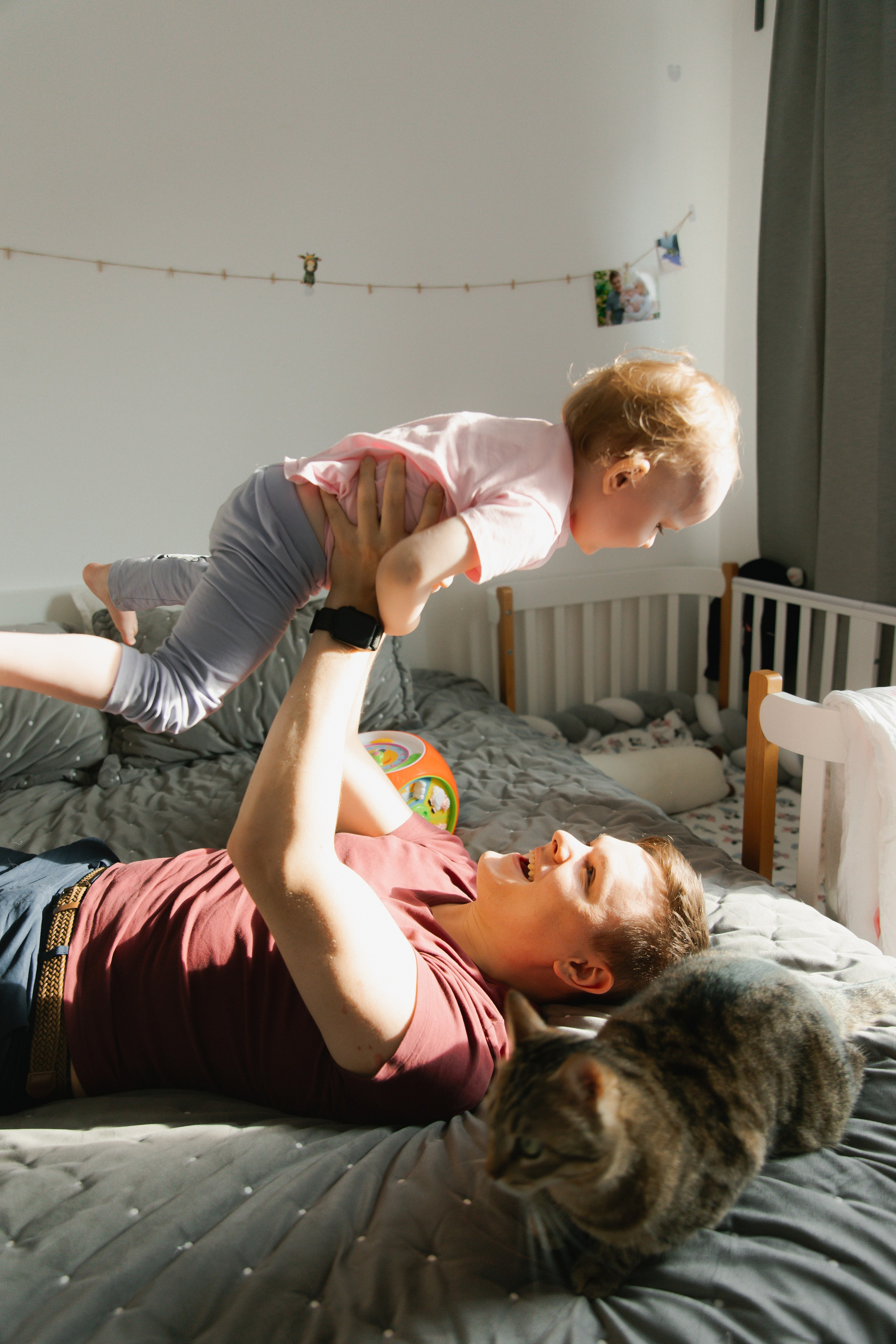 Polja. Главная