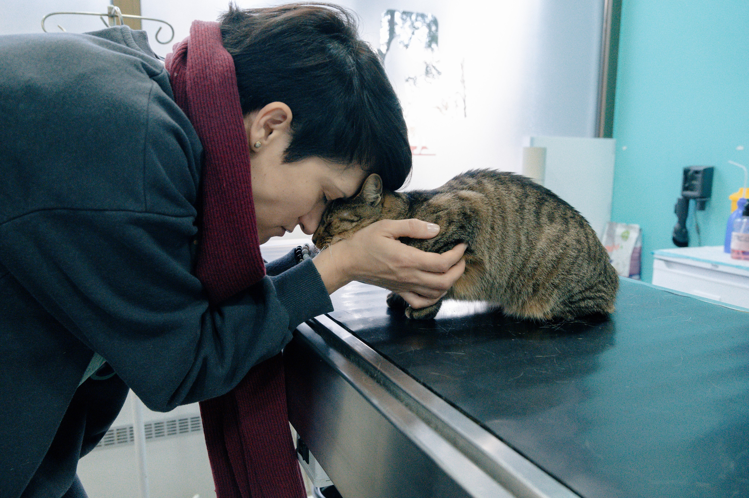 Veterinary clinic «LoyalVet». Art-photographer Ira Wind