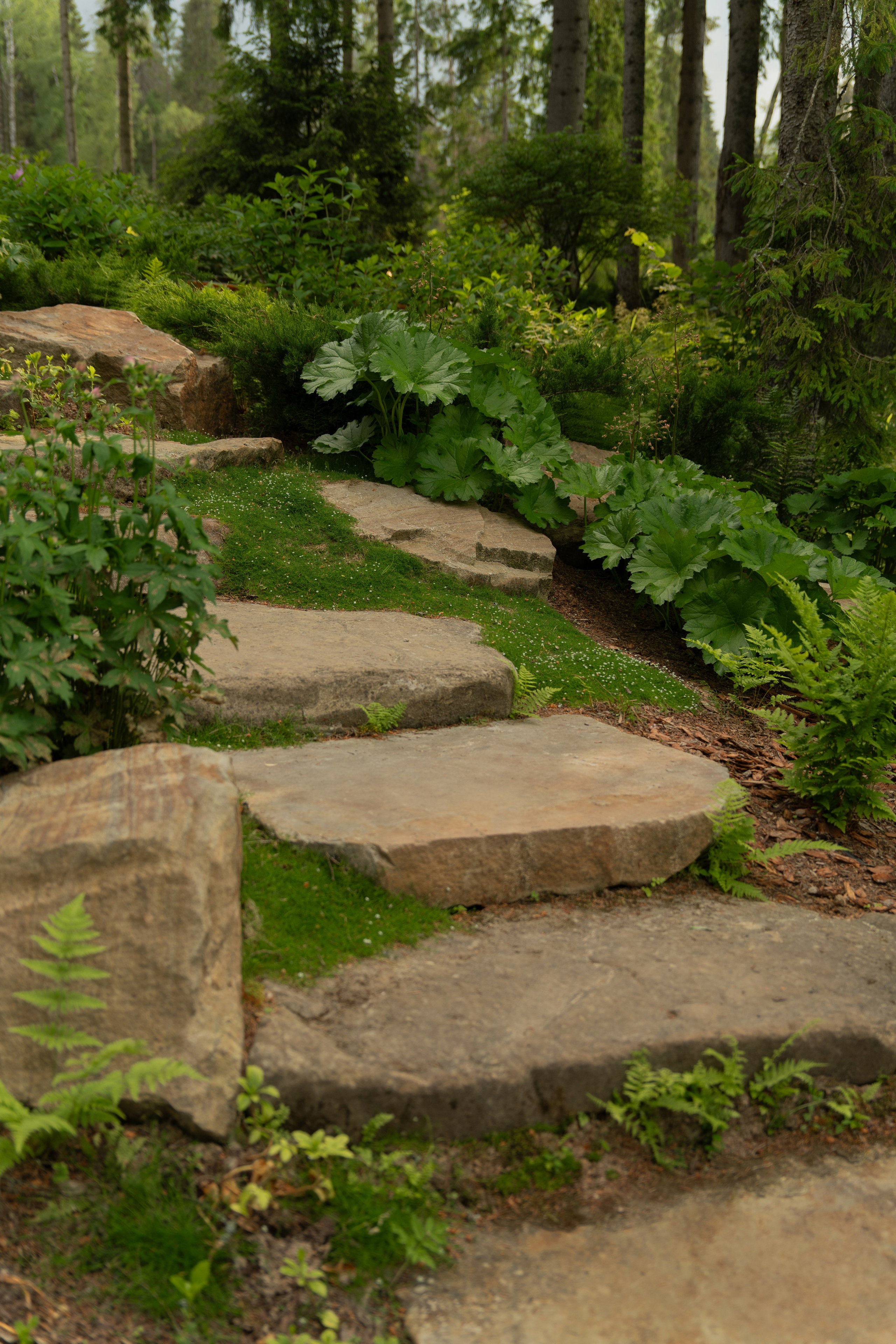 Участок в каральском стиле. Автомобильный фотограф Светлана Усова