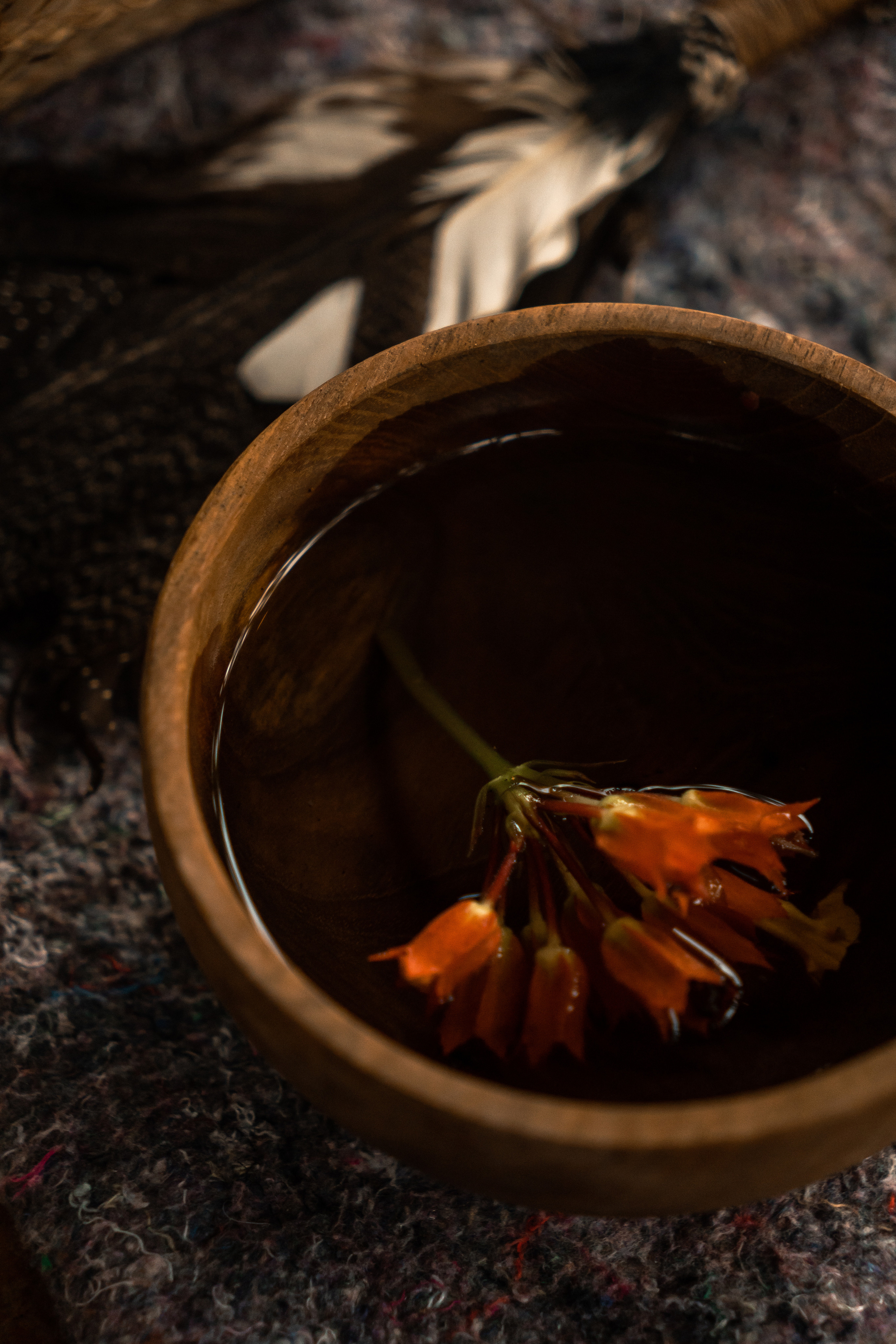 Какао-церемония. Ольга Антипова — фотограф