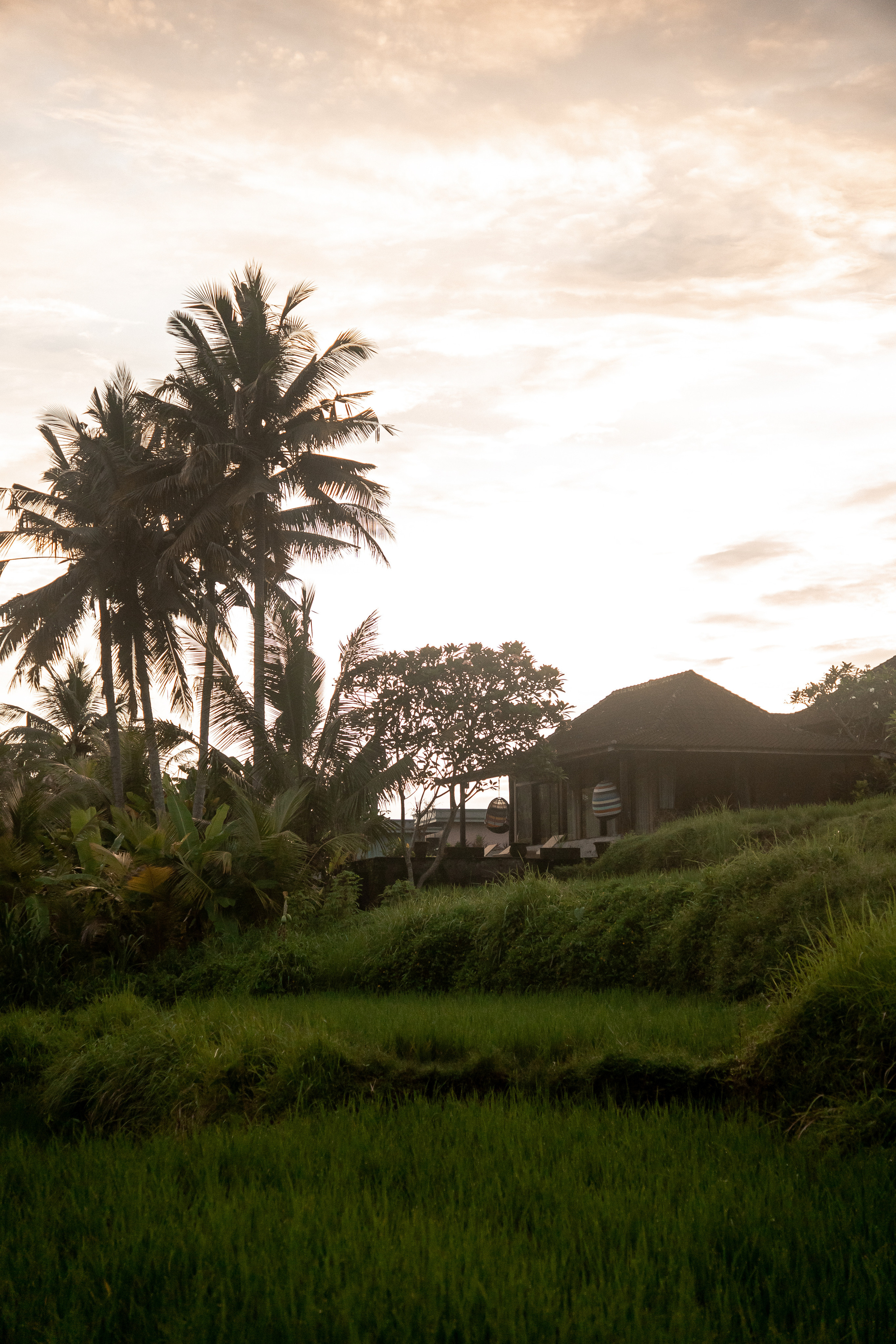 Какао-церемония. Ольга Антипова — фотограф