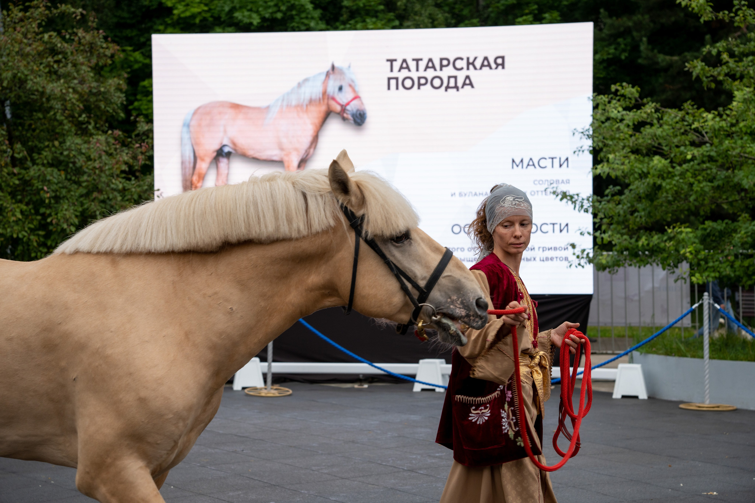 Животные. Фото, видео, монтаж