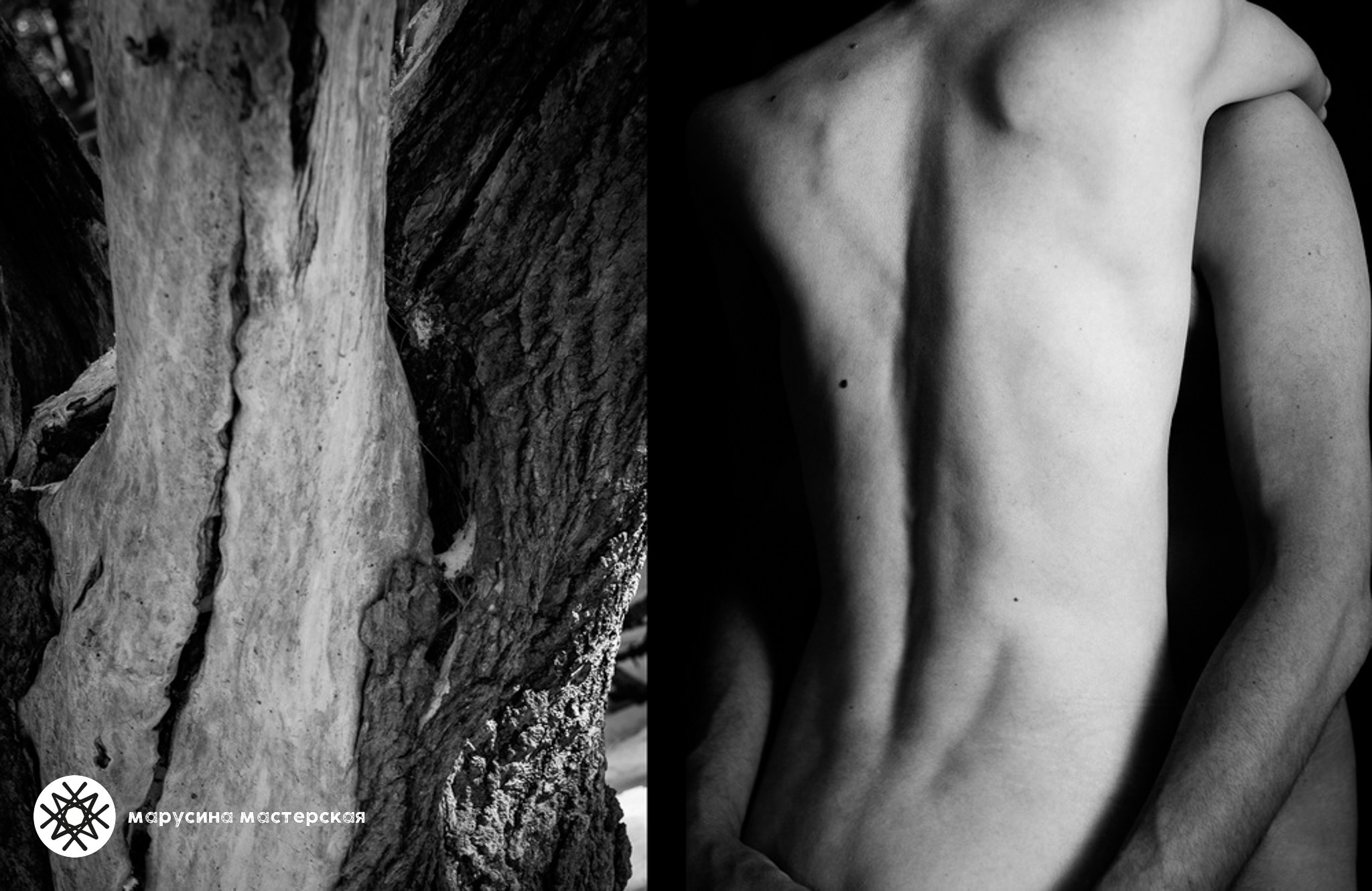 Алина Санду