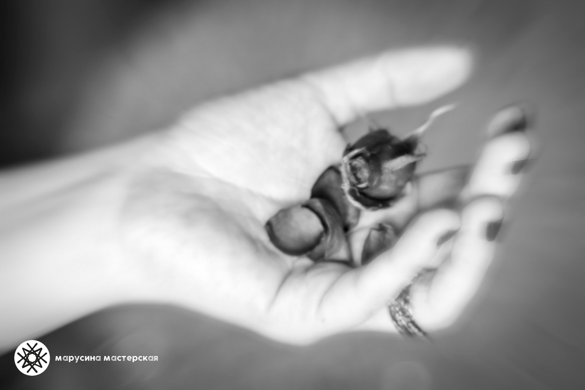 Творческая фотография, снятая в рамках зимней творческой практики, автор — Ксения Щеглова