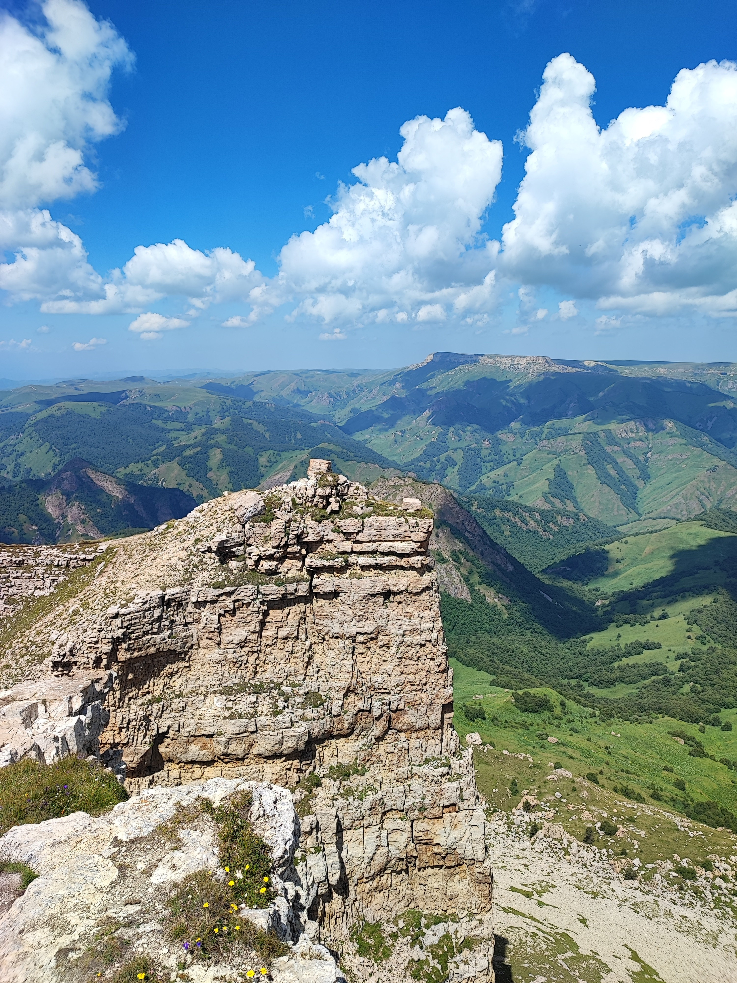 Намобилкус кавказский. Репортажный фотограф Алексей Пирязев