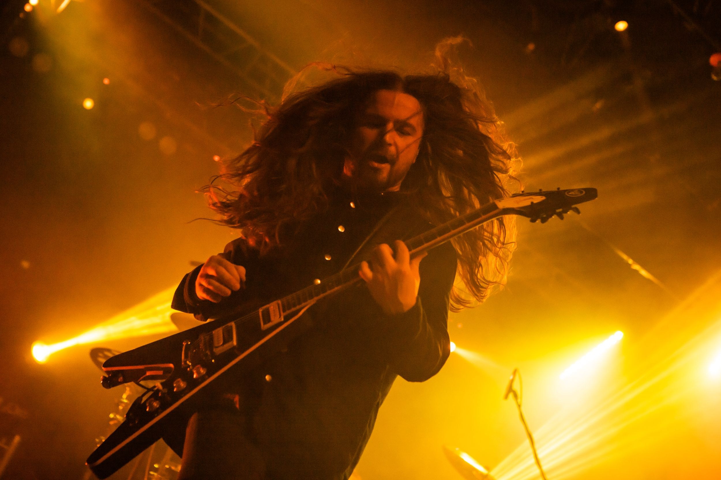 Animal ДжаZ. Репортажный фотограф Алексей Пирязев