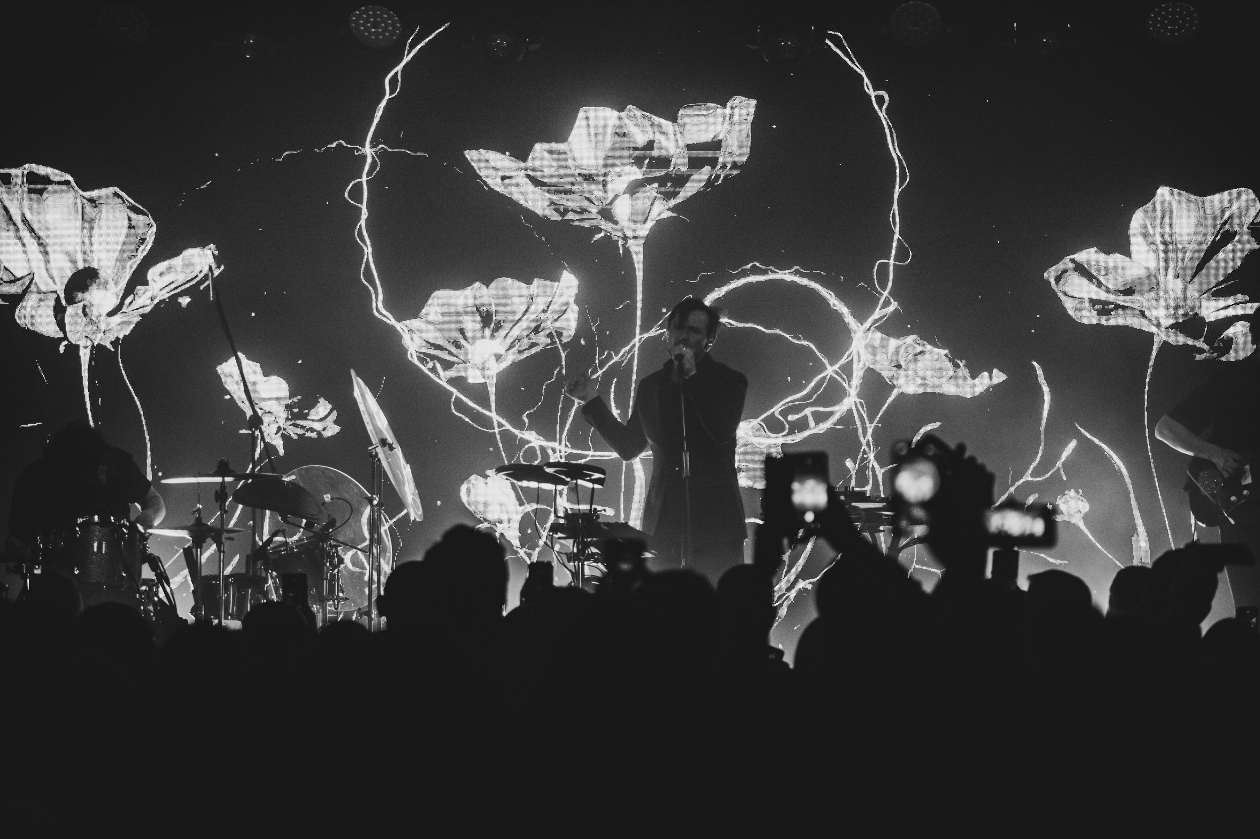 Дельфин. Репортажный фотограф Алексей Пирязев