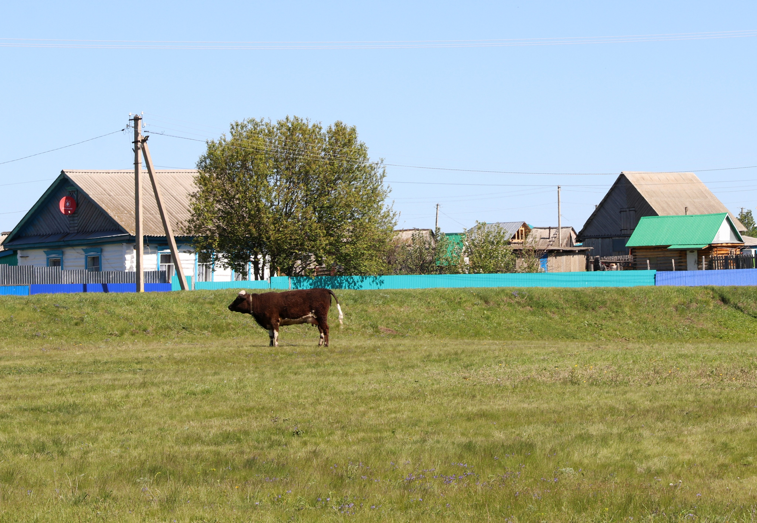 Велопоход Уфа — Мелеуз. Май 2024. Путешественник-фотограф из Санкт-Петербурга Татьяна Свистулина