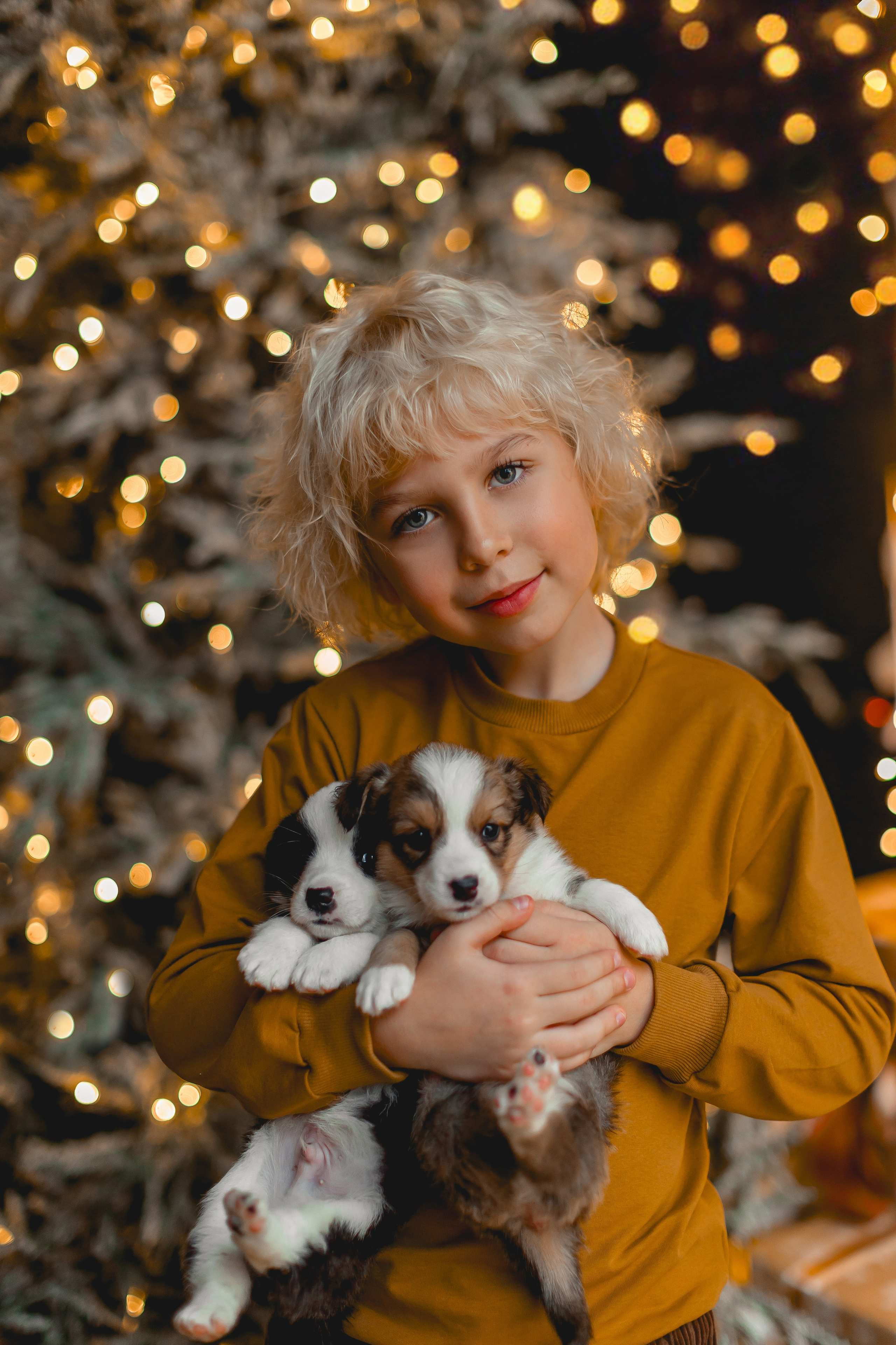Новый год. Семейный фотограф в Москве Татьяна Болтиева