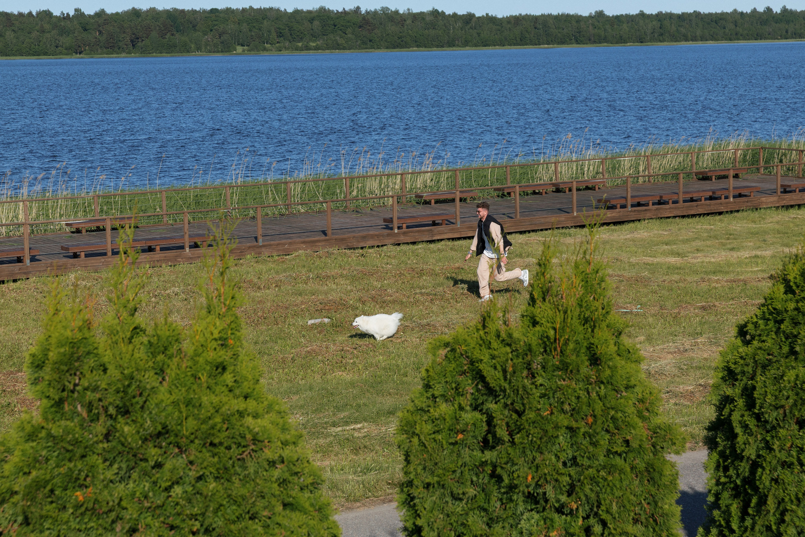 Евгений и Дарья. Свадебный и репортажный фотограф в Санкт-Петербурге Николай Голованов