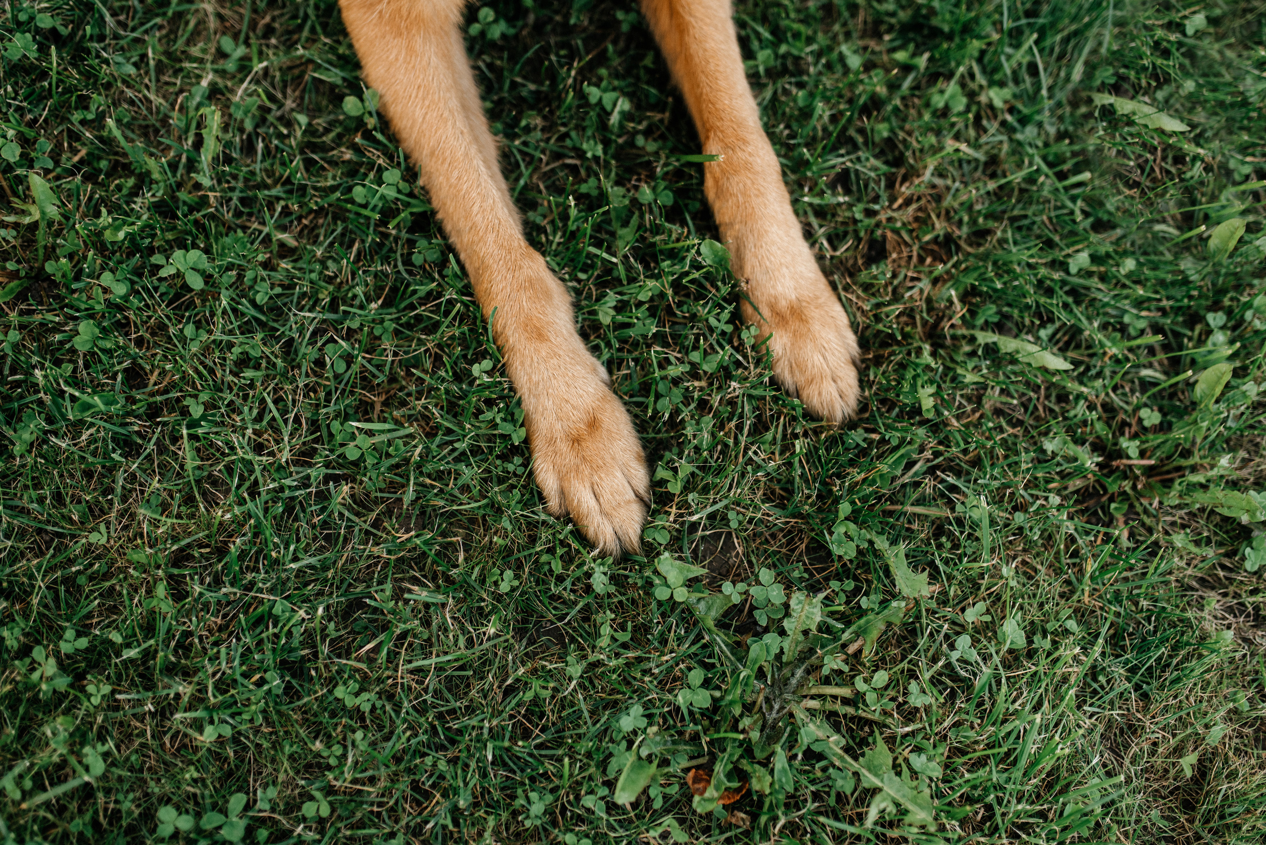 Сентябрь в Лошицком парке. Костюшко Кристина — семейный и свадебный фотограф в Минске