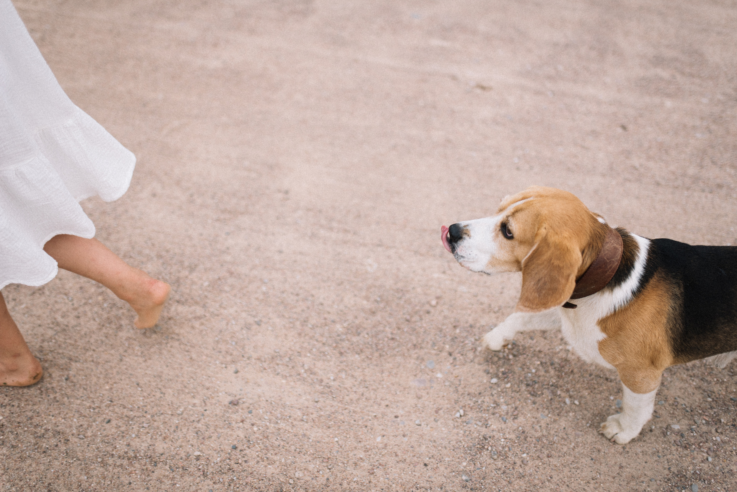 Про любовь. Костюшко Кристина — семейный и свадебный фотограф в Минске