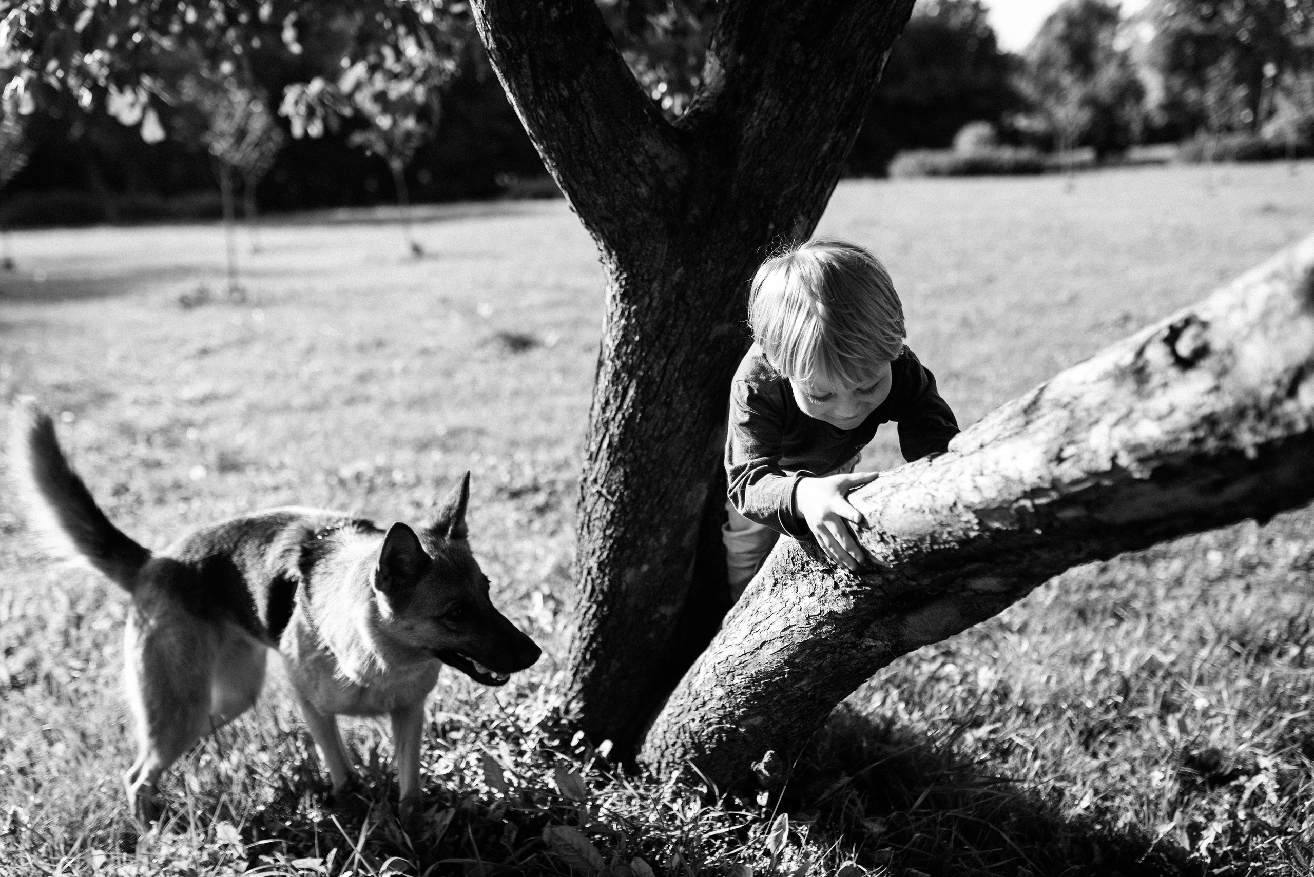 Сентябрь в Лошицком парке. Костюшко Кристина — семейный и свадебный фотограф в Минске