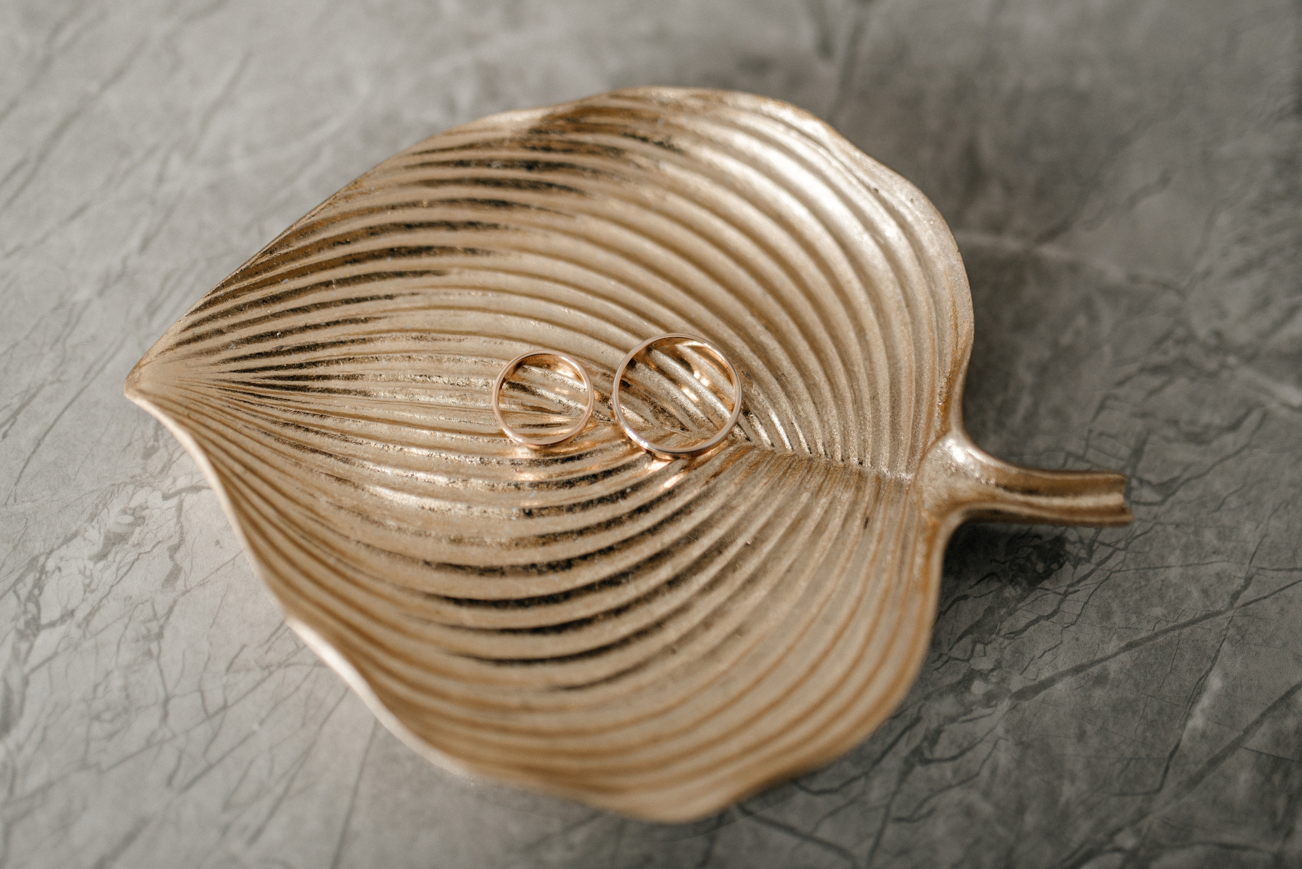 Наталья + Александр. Костюшко Кристина — семейный и свадебный фотограф в Минске