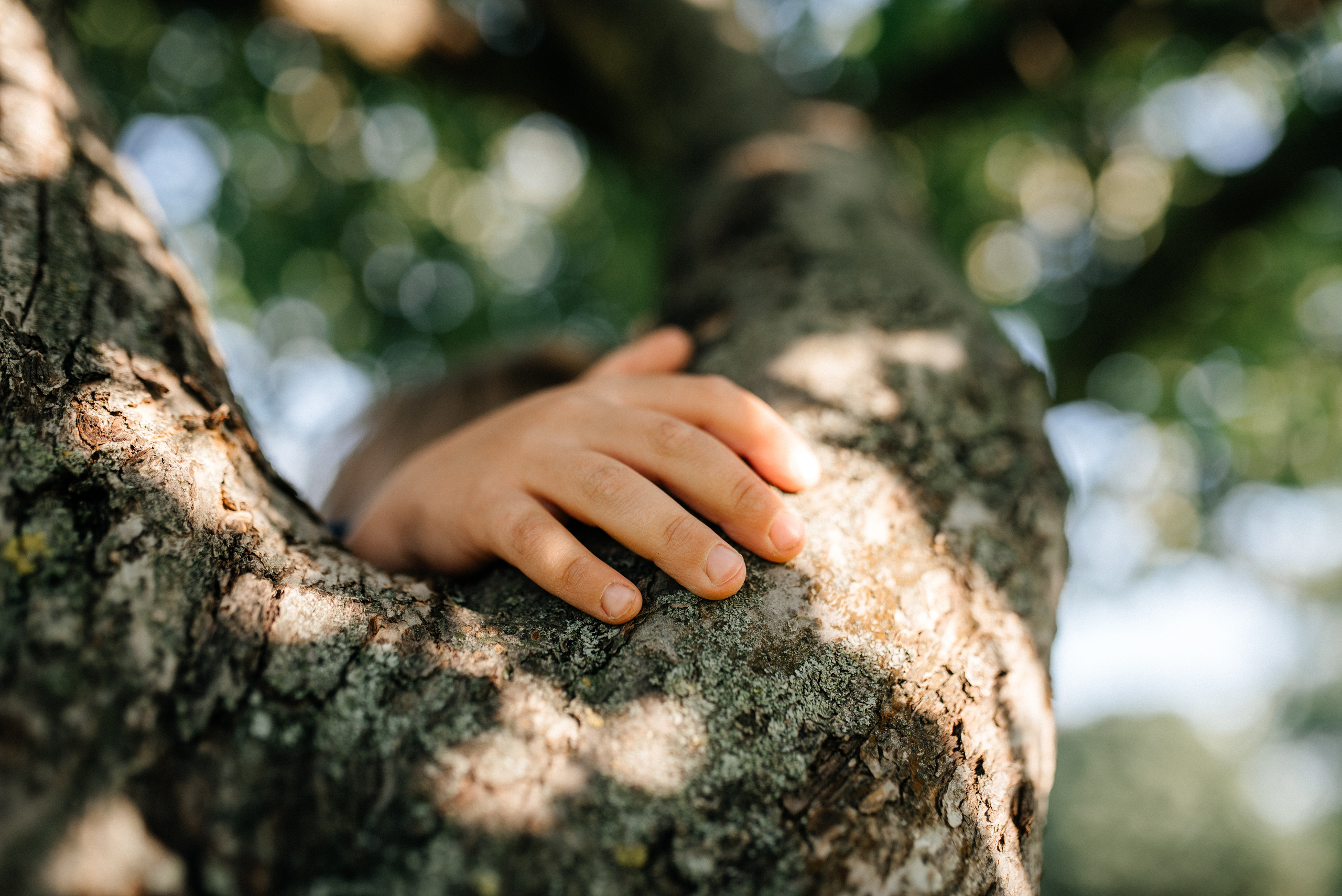 Сентябрь в Лошицком парке. Костюшко Кристина — семейный и свадебный фотограф в Минске
