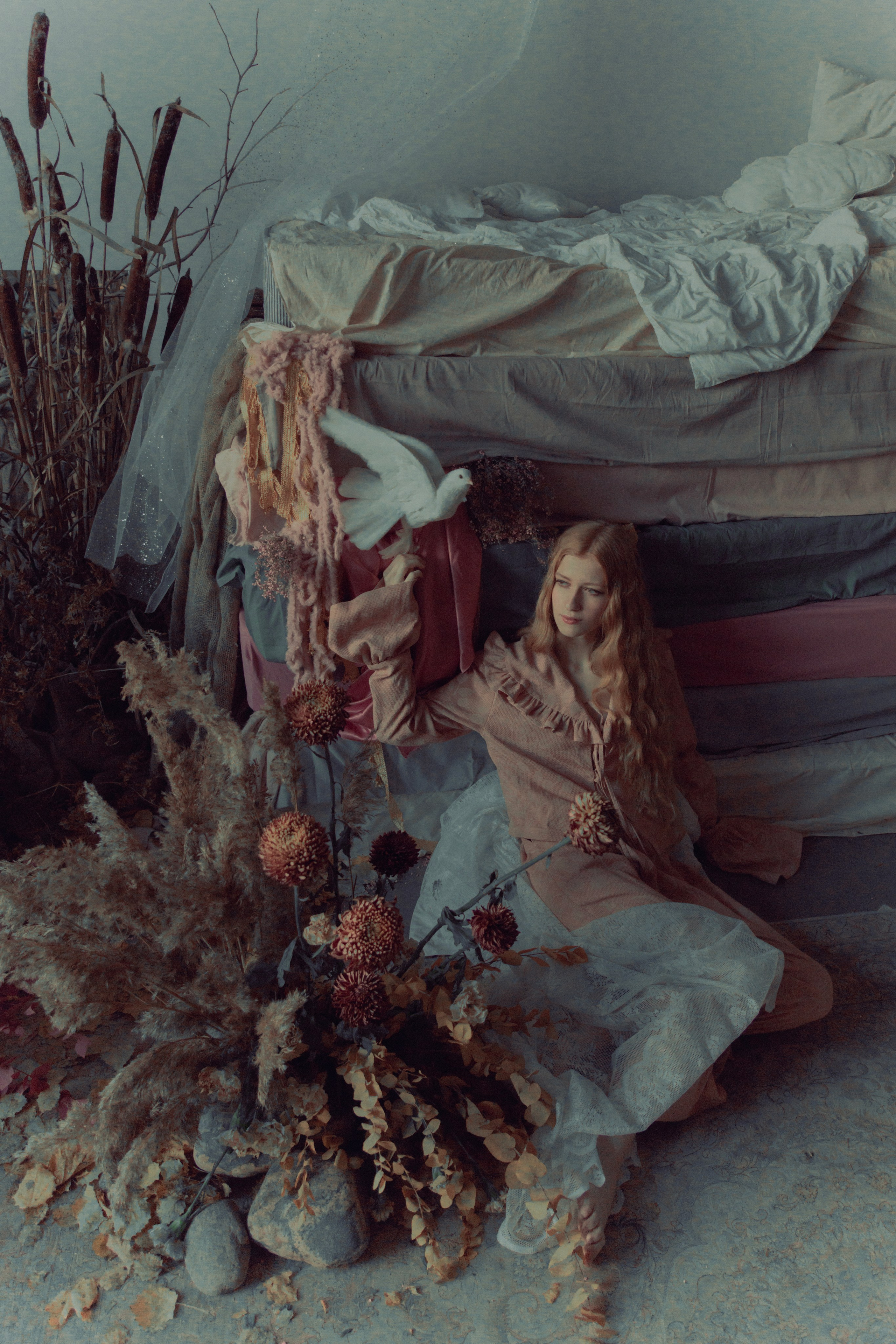 Голубь. Фотограф Anita Mivchas