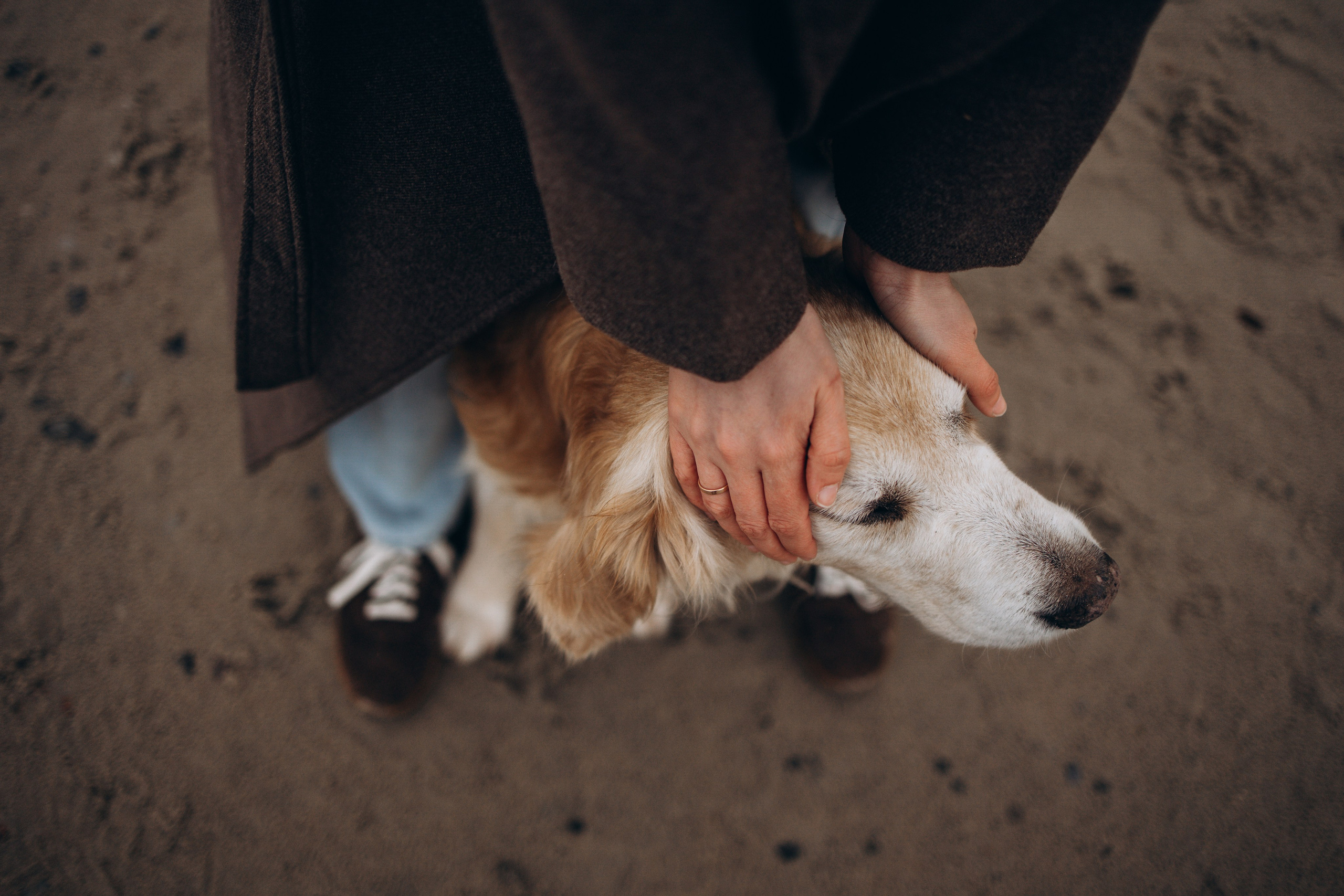 Юля и Максик. Фотограф — Анималист | Санкт-Петербург