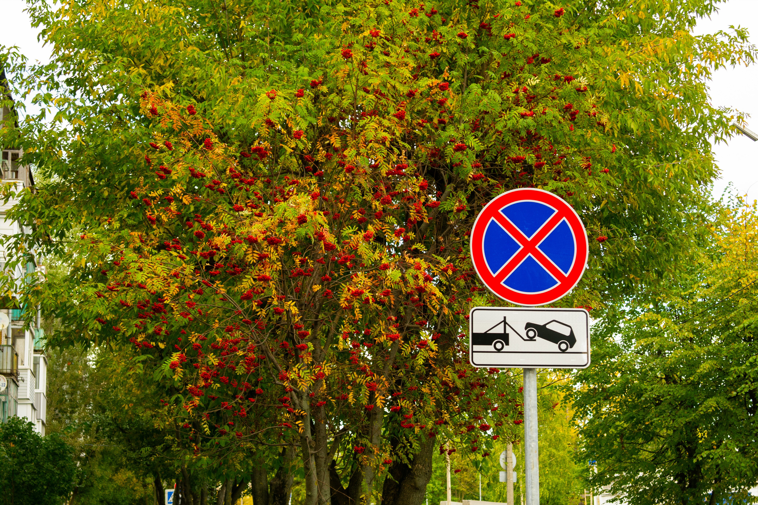 Сентябрь 2025. Den Mirov — Фотограф, Музыкант