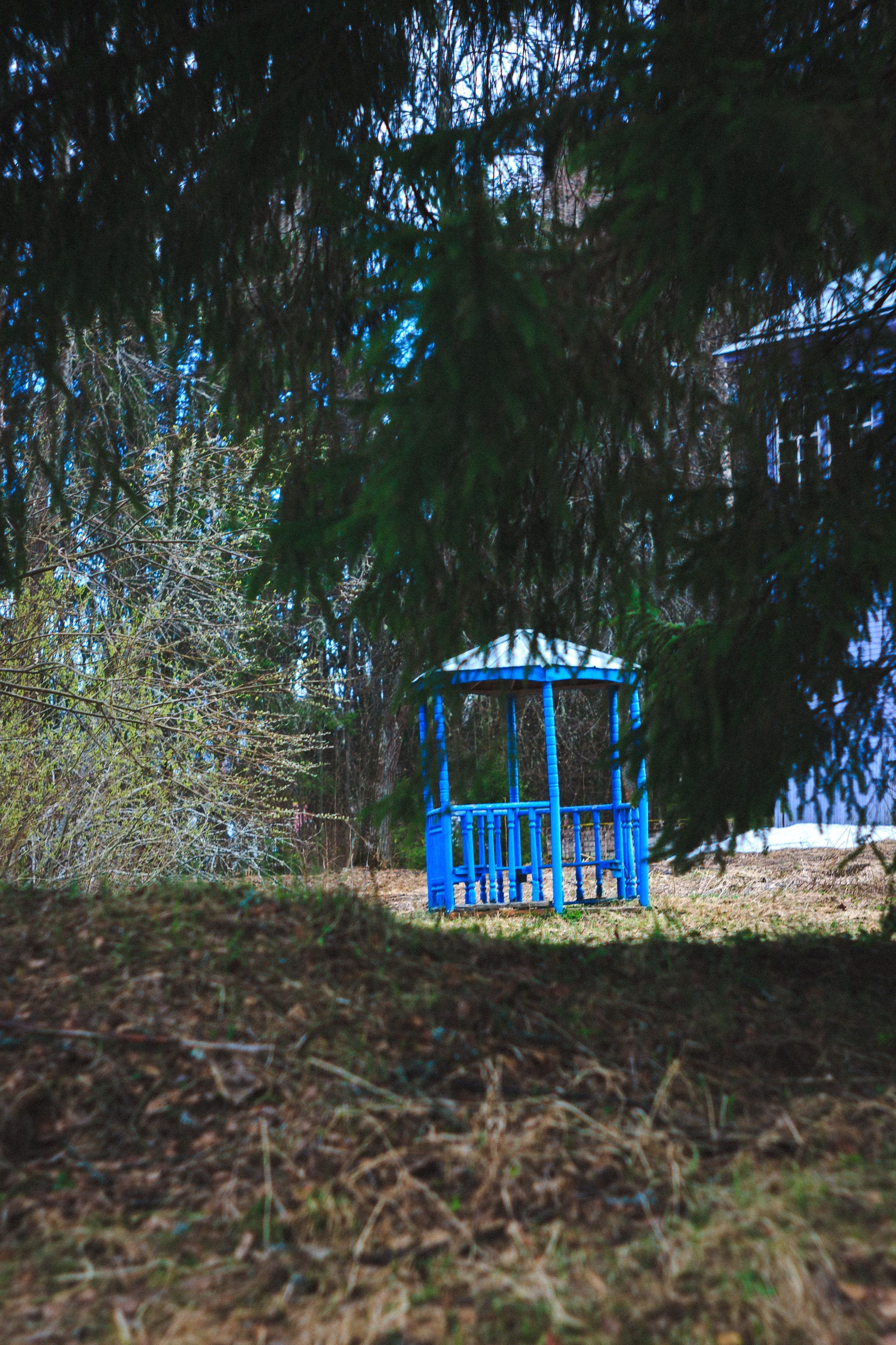 Деревня. Den Mirov — Photographer, Musician