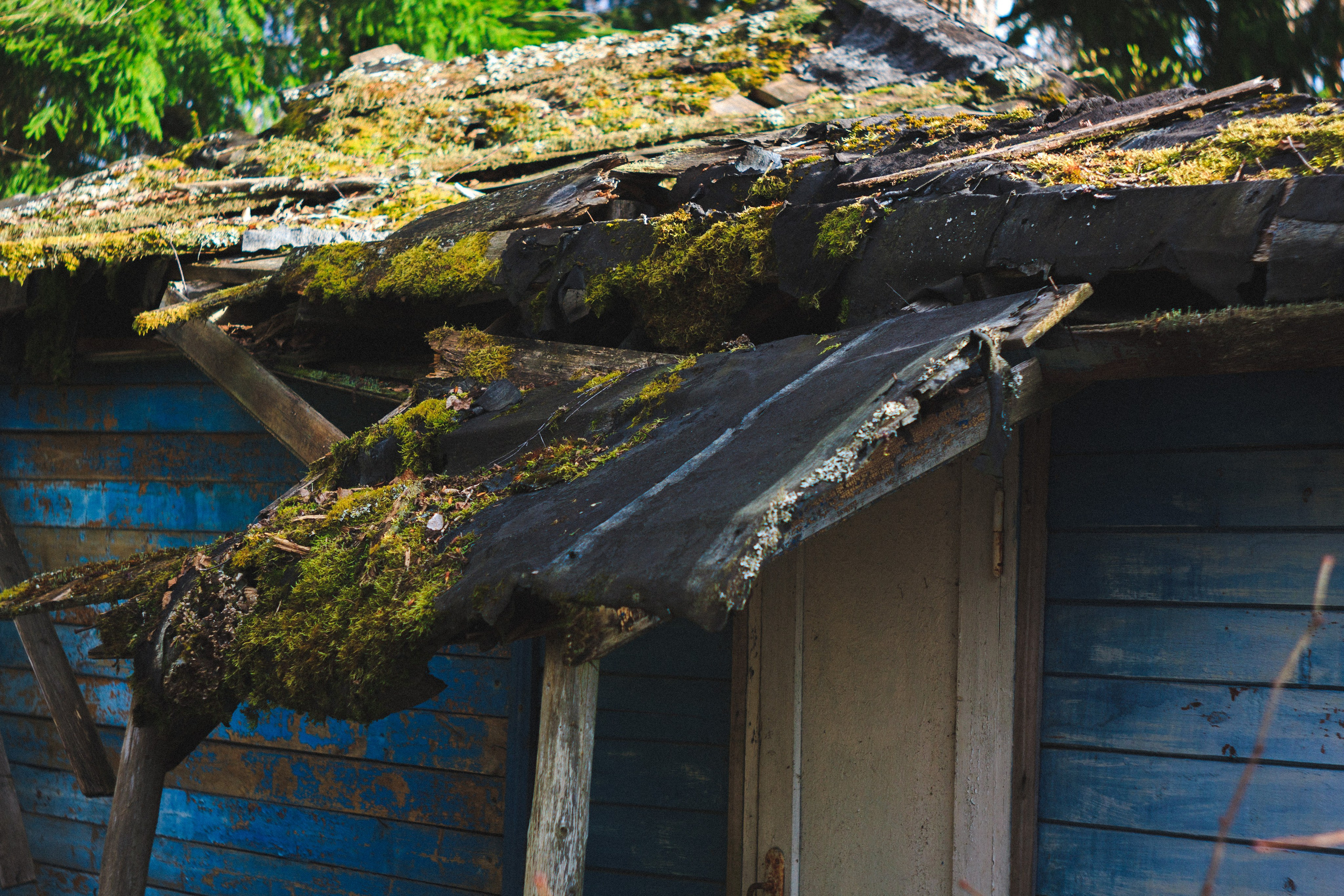 Деревня. Den Mirov — Photographer, Musician