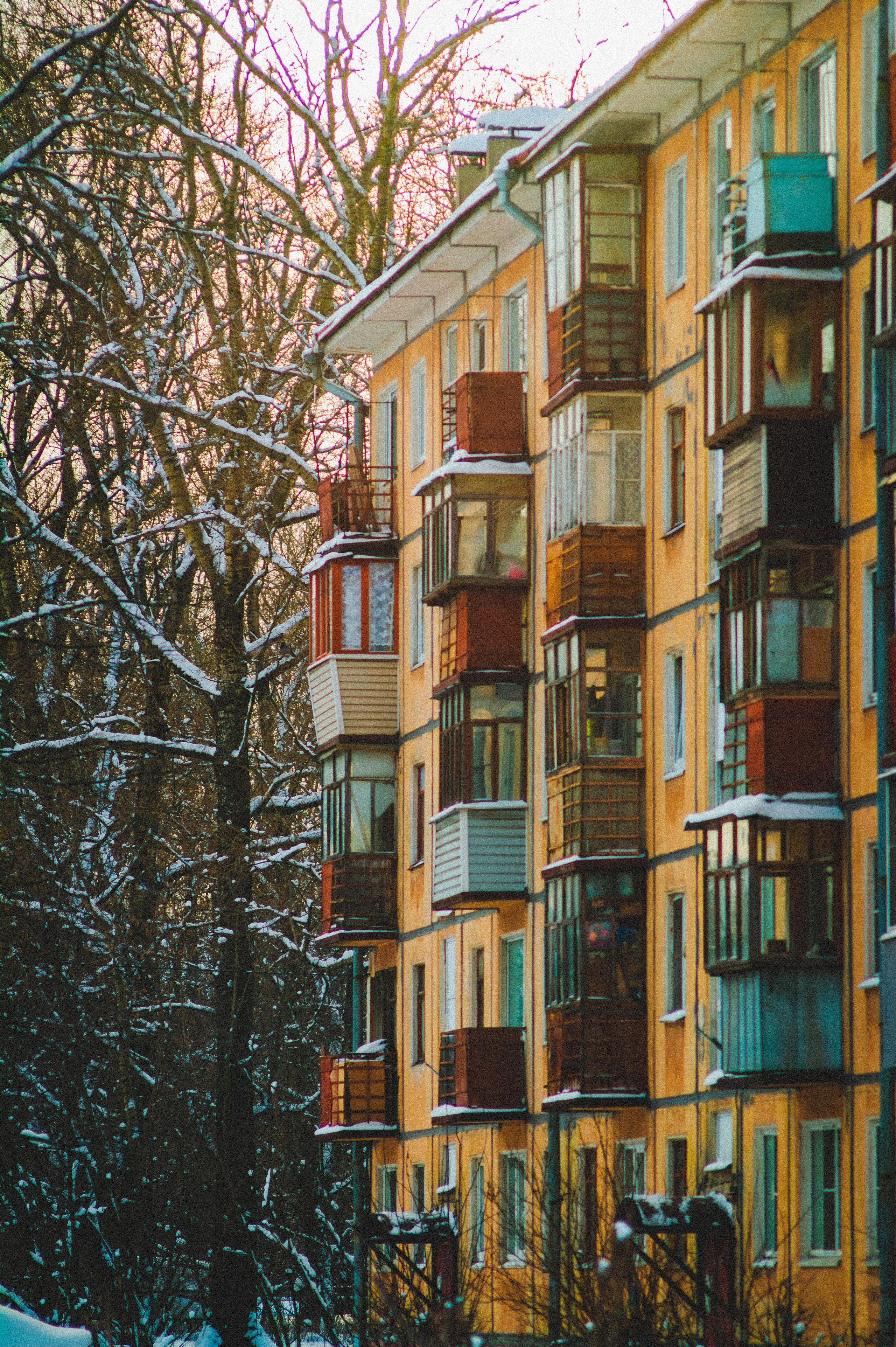 Обед. Den Mirov — Фотограф, Музыкант