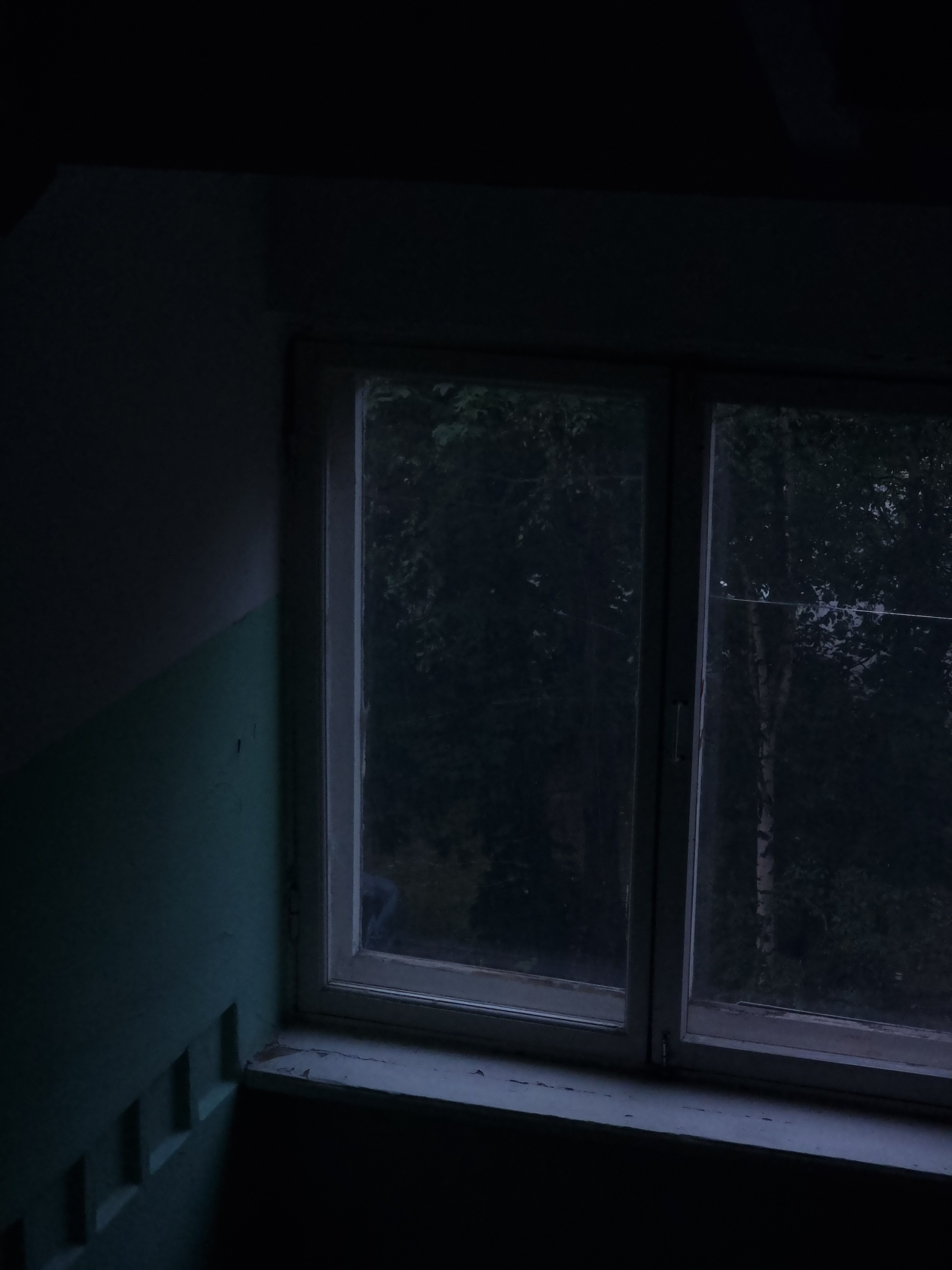 Июль 2025. Den Mirov — Фотограф, Музыкант