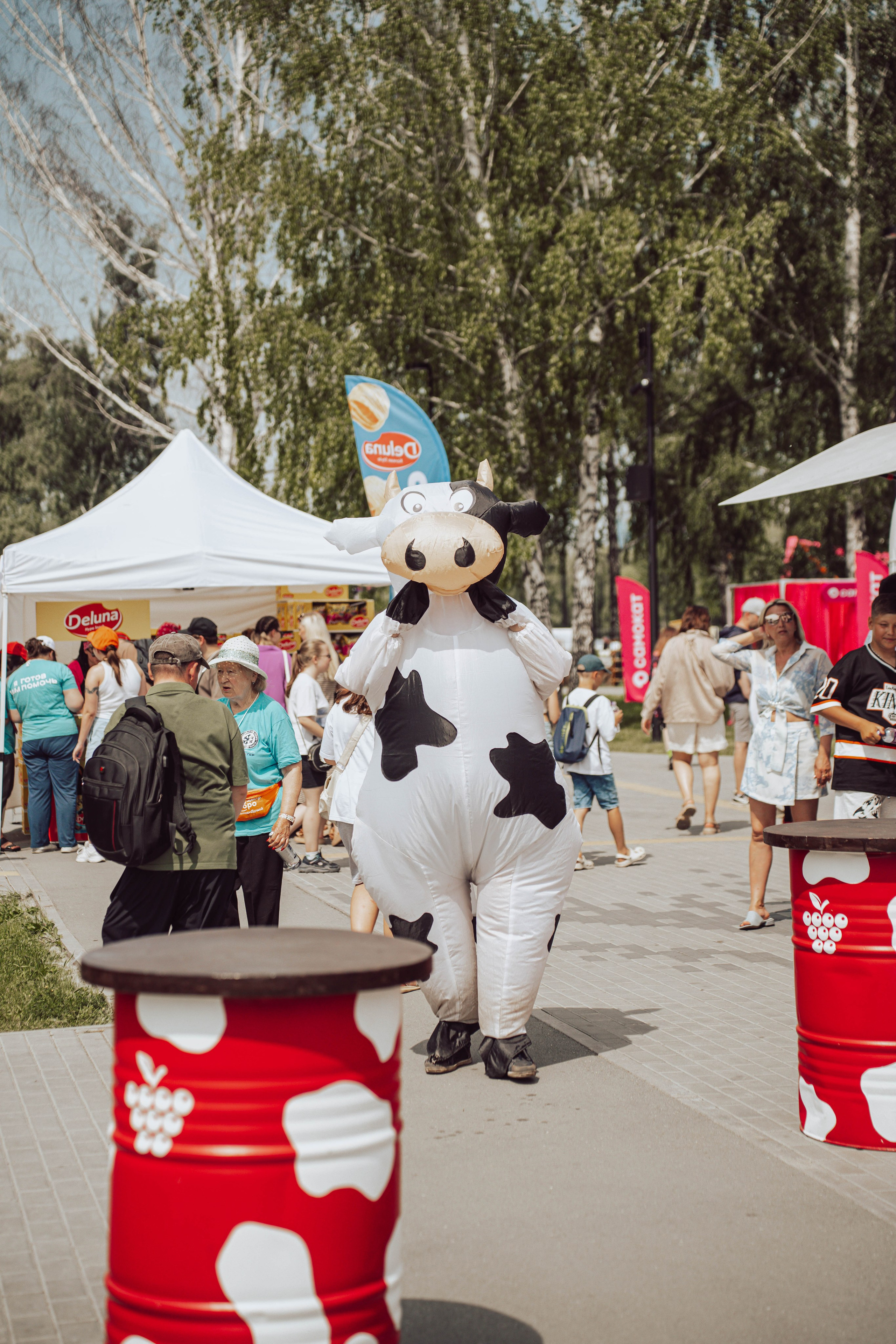 Черника Music Fest. Магия фото/кино от Tony.REC