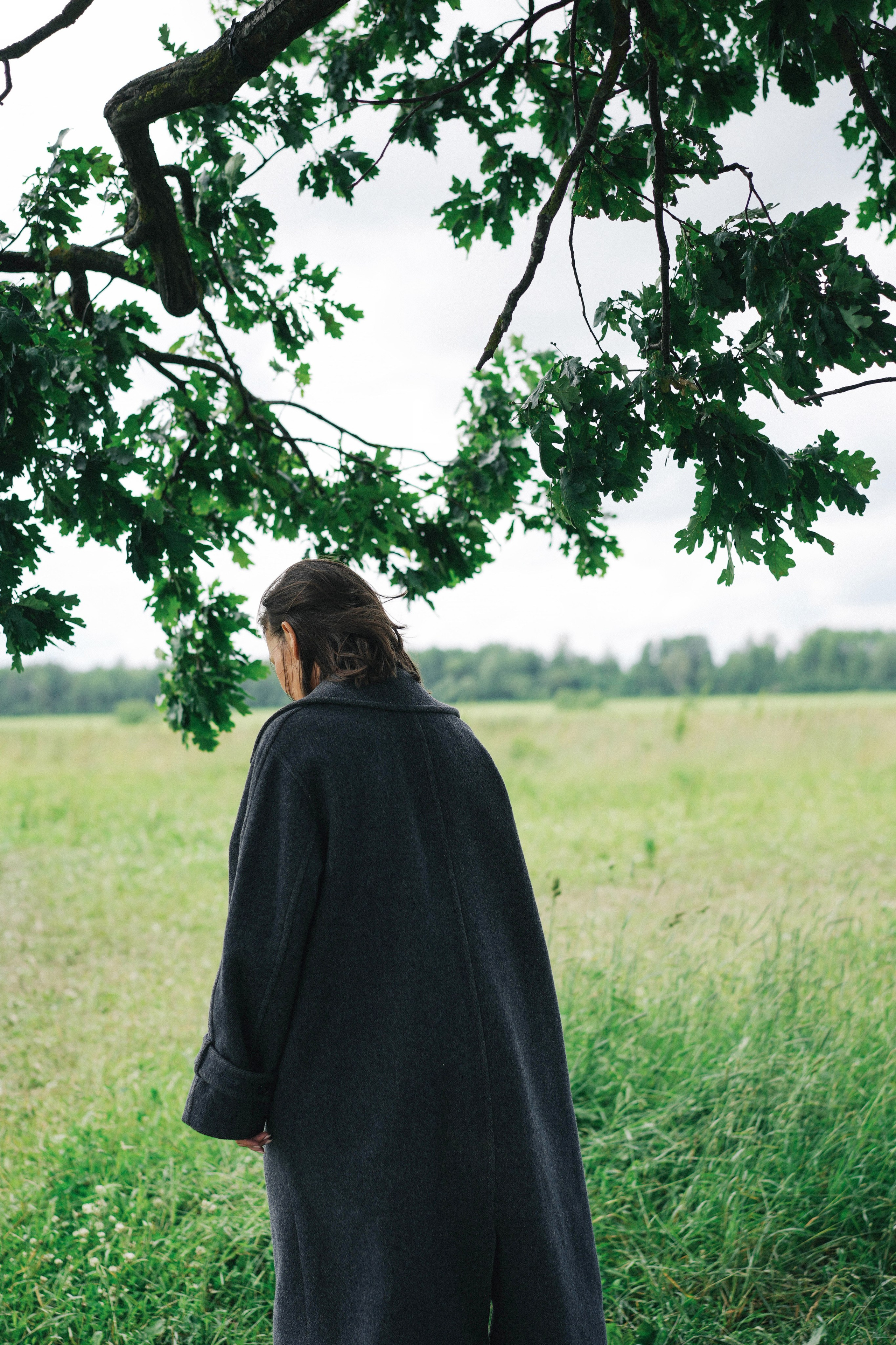 Дуб и клён. Ксения Копна. Фотограф из Санкт-Петербурга