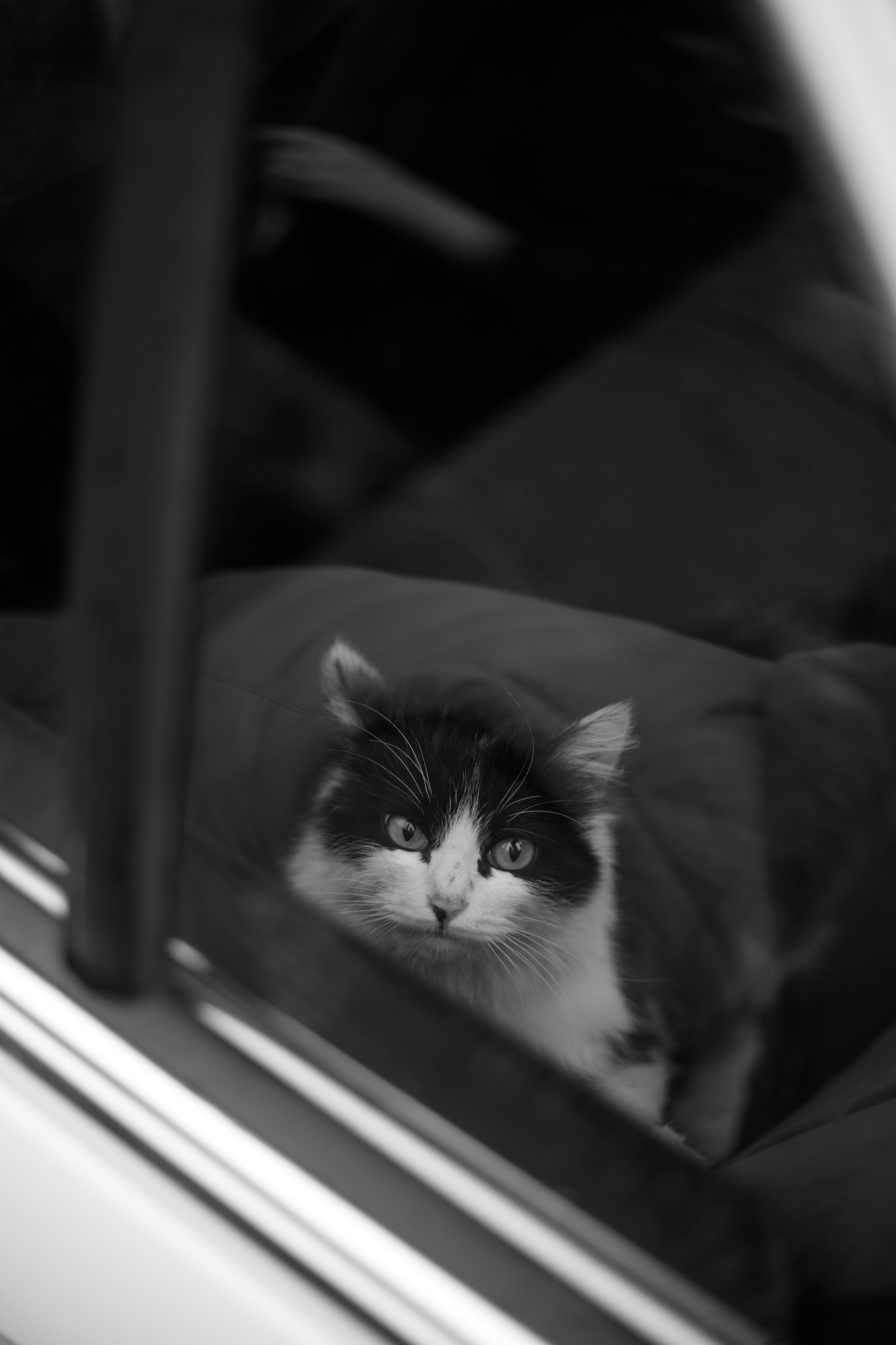 Elisei & Tanya. Свадебный фотограф Алматы