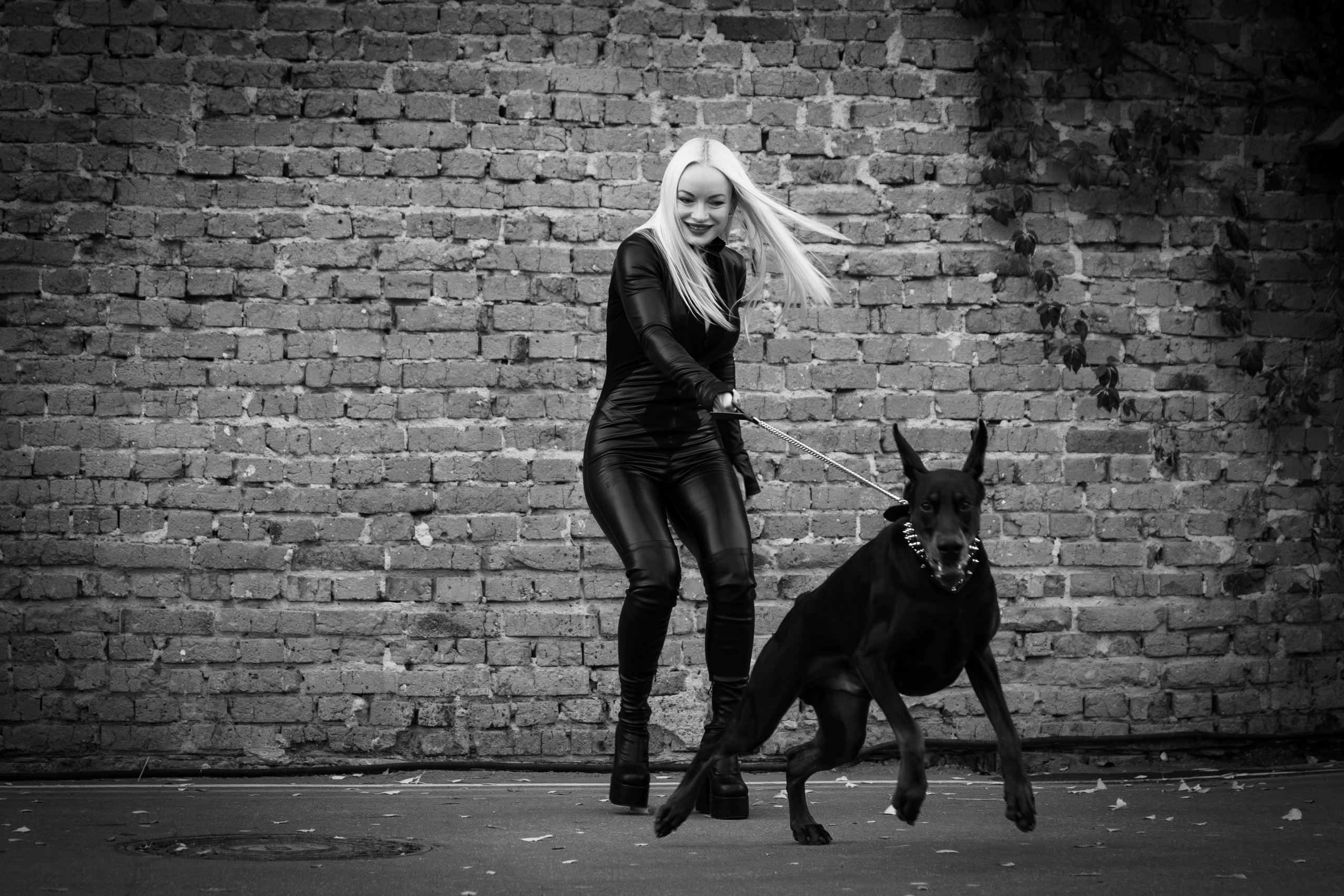 Фотосессии с животными Тула. Фотограф анималист — Тула, Москва