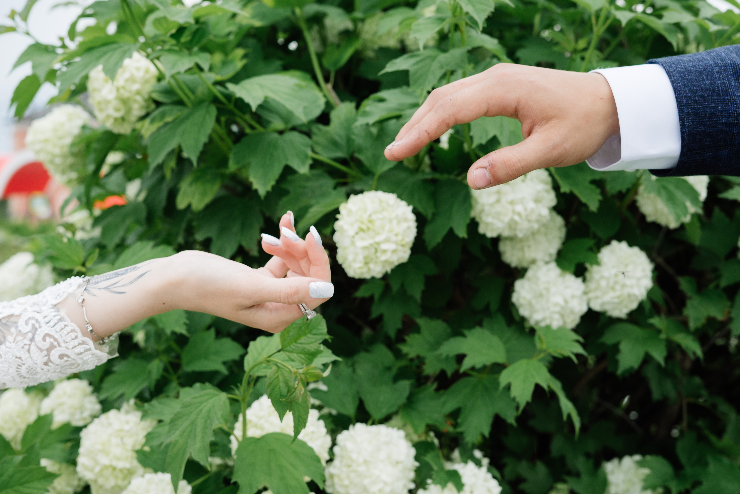 Саша + Даша. Семейные фотосессии и свадьбы в Краснотурьинске