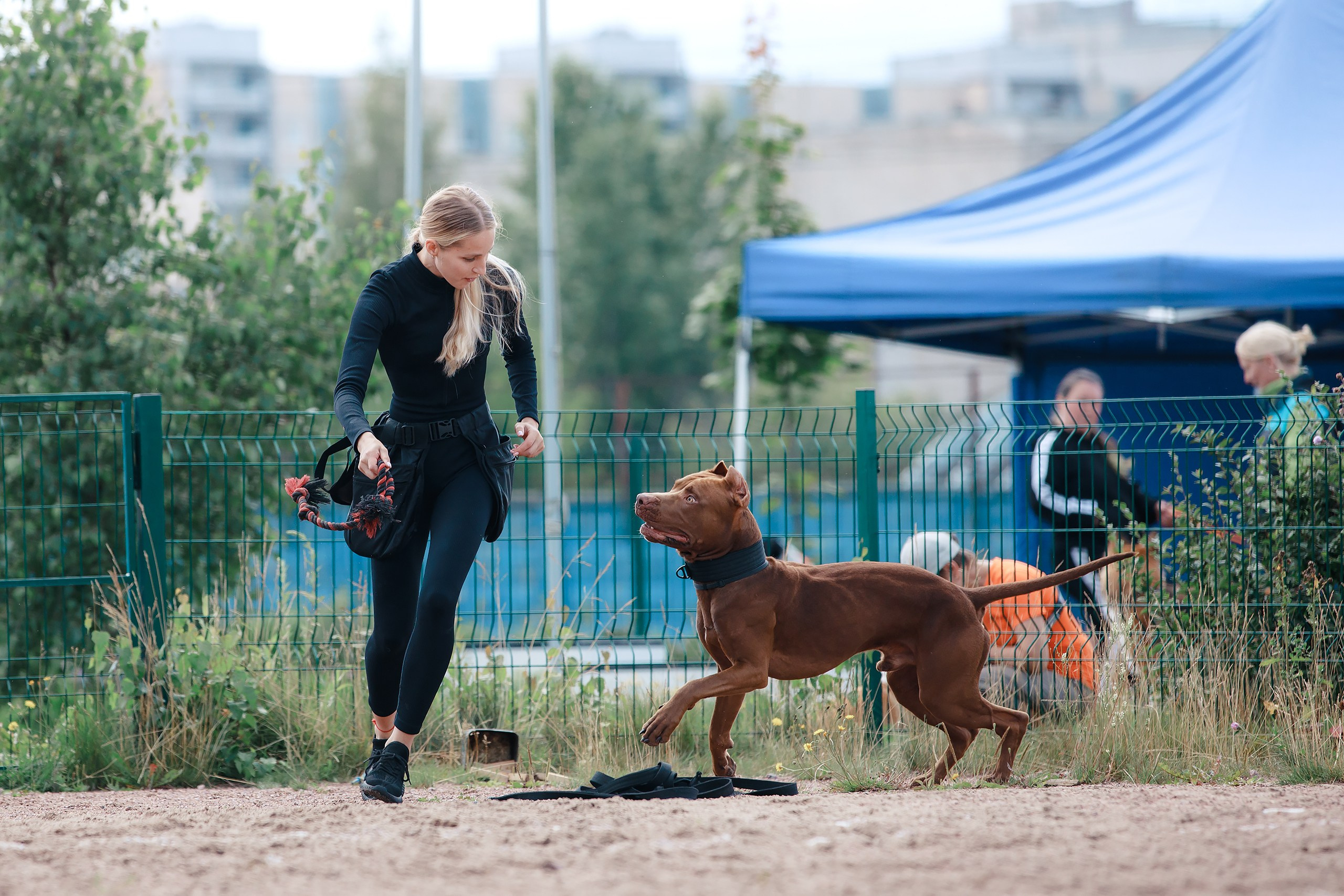 Питч&Гоу + веселые старты. Фотограф-анималист Mary Mart — Москва, Питер
