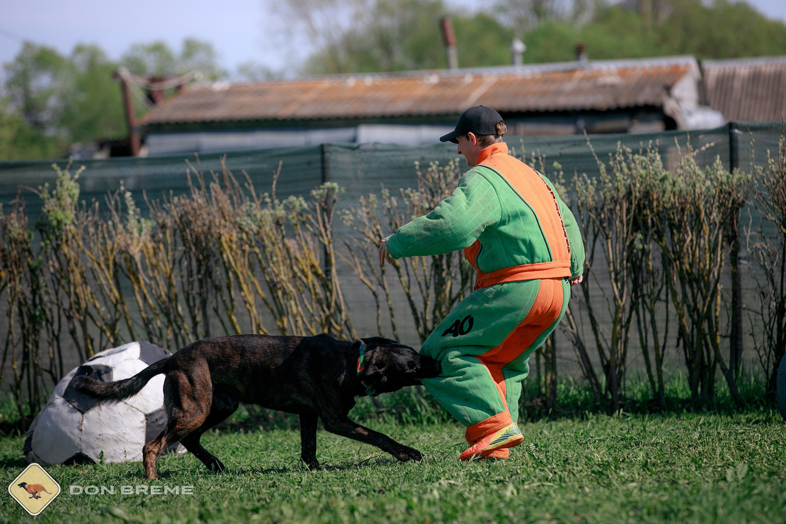 Семинар для фигурантов, день 4. Фотограф-анималист Mary Mart — Москва, Питер