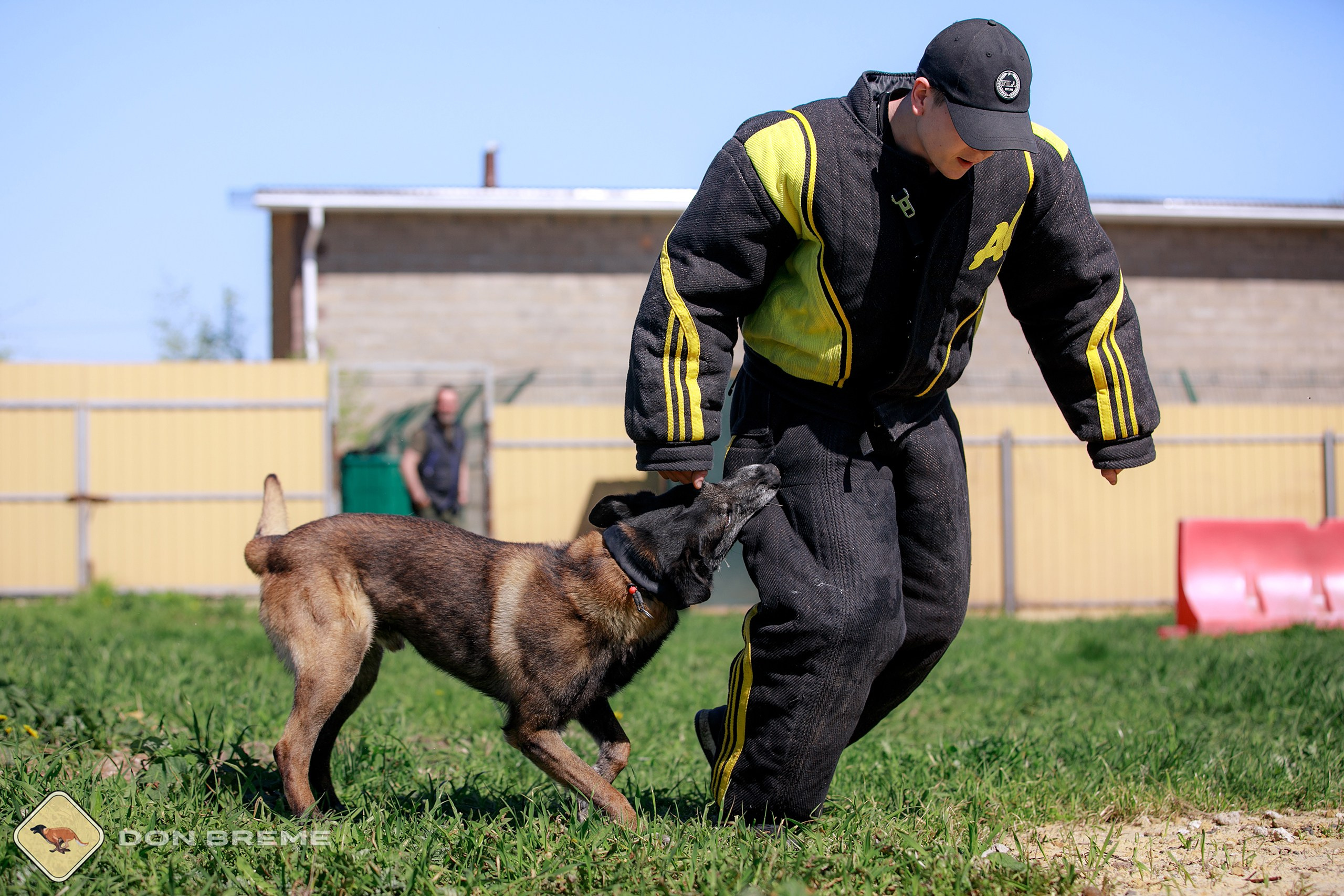 Семинар для фигурантов, день 3. Фотограф-анималист Mary Mart — Москва, Питер