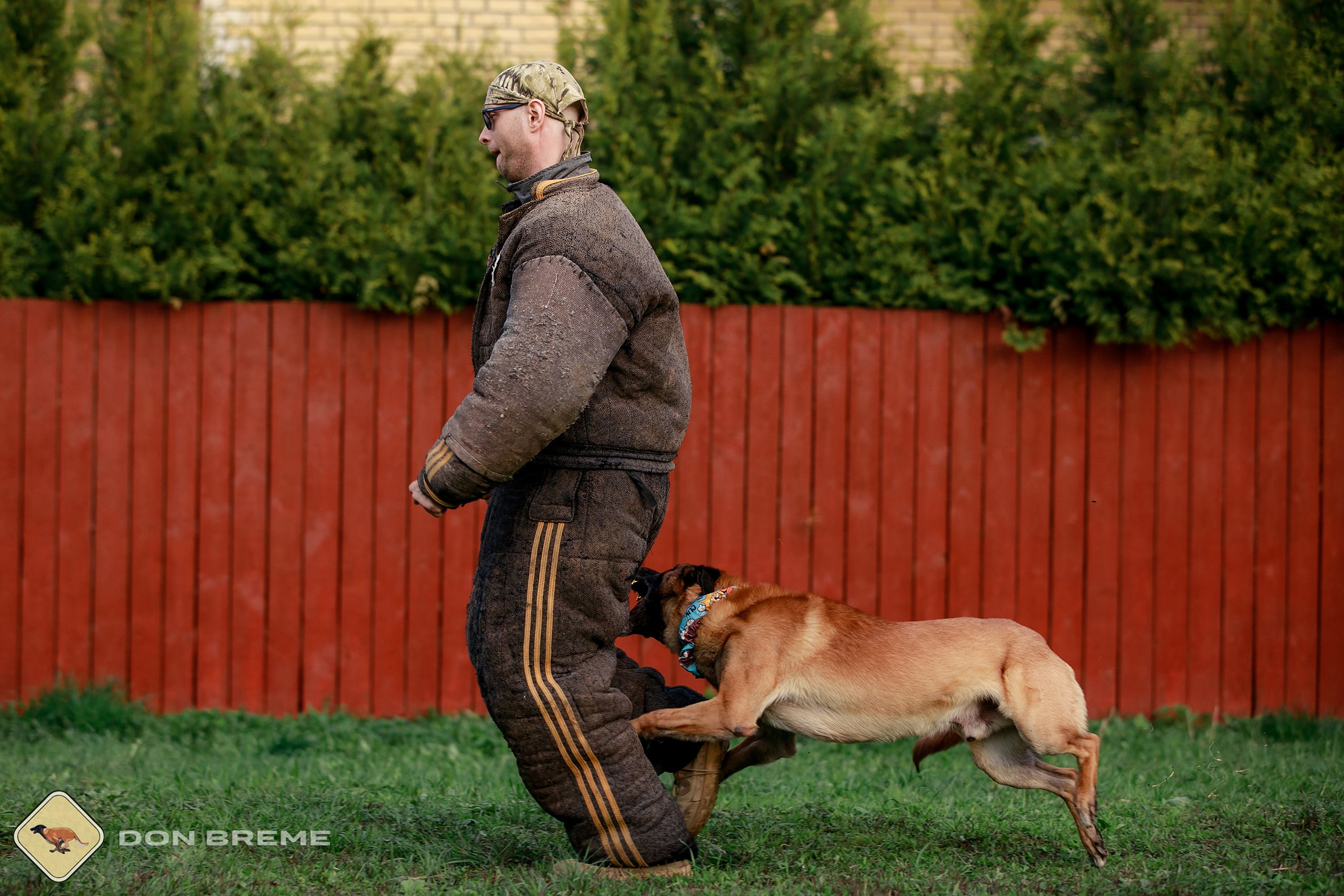 Семинар для фигурантов, день 2. Фотограф-анималист Mary Mart — Москва, Питер