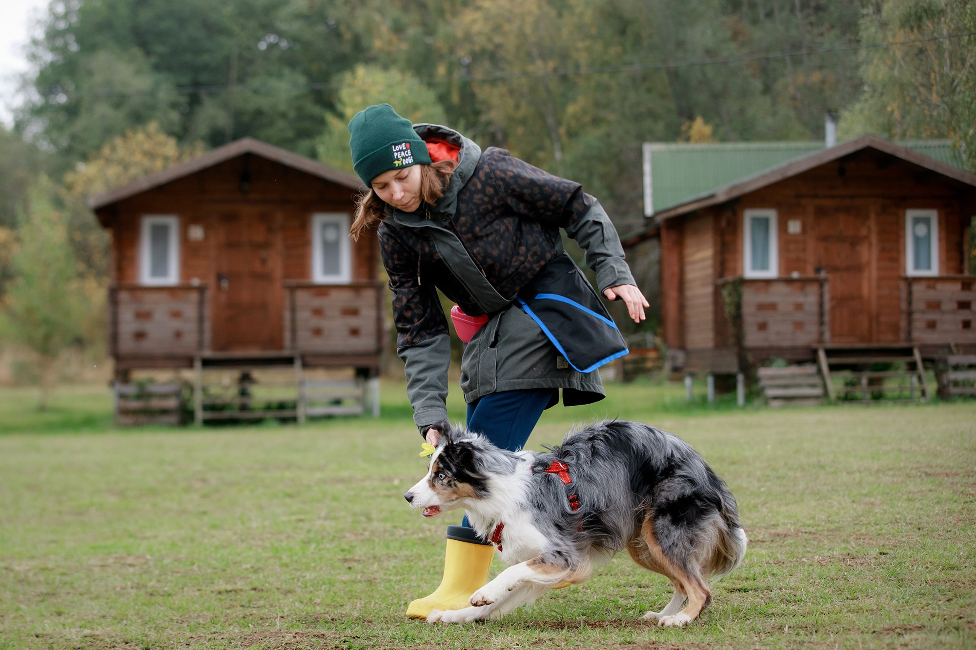 Лагерь по ОБД с Инной Баженовой. Фотограф-анималист Mary Mart — Москва, Питер