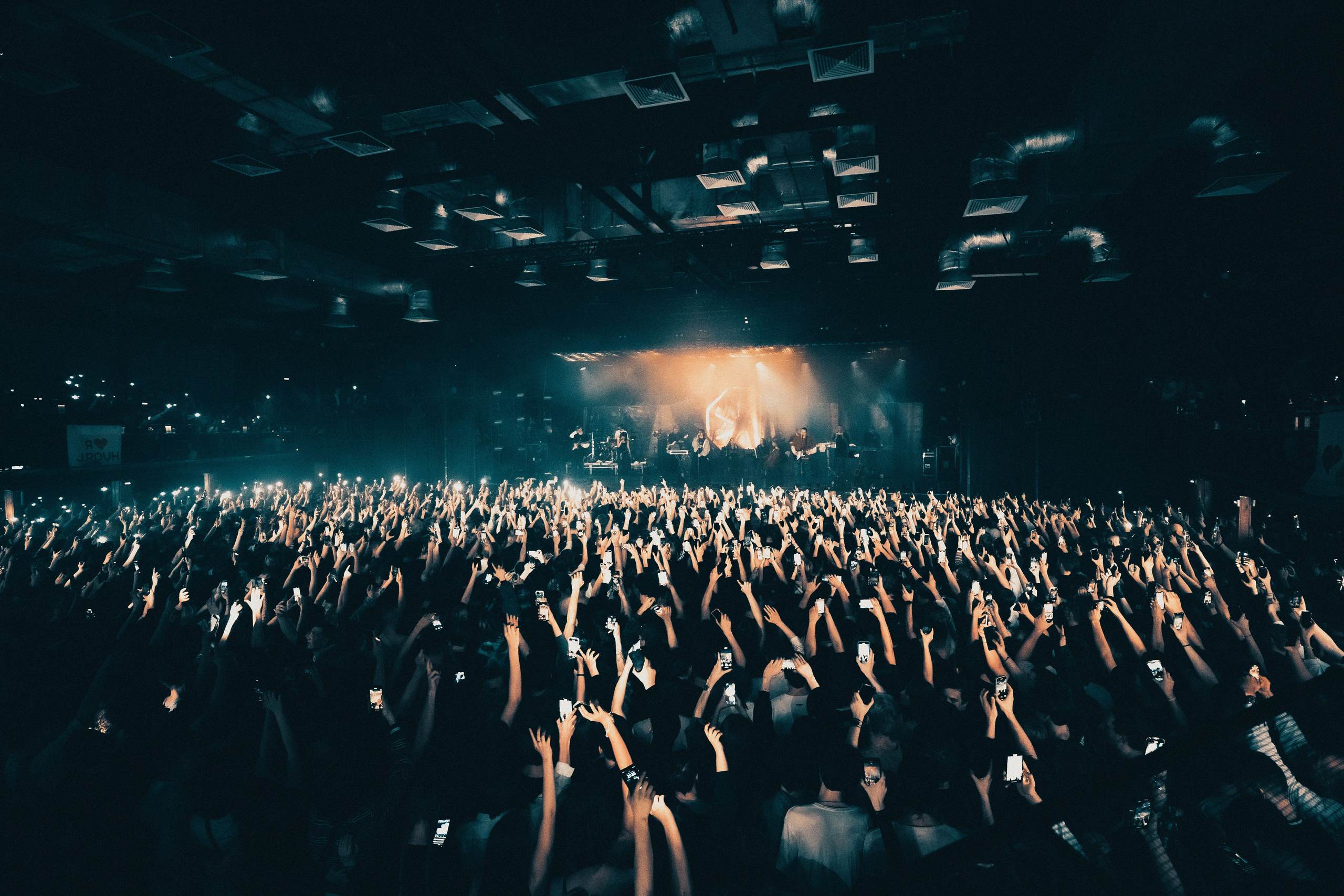 SALUKI. PASHAHARCE PHOTOGRAPHER & VIDEOGRAPHER