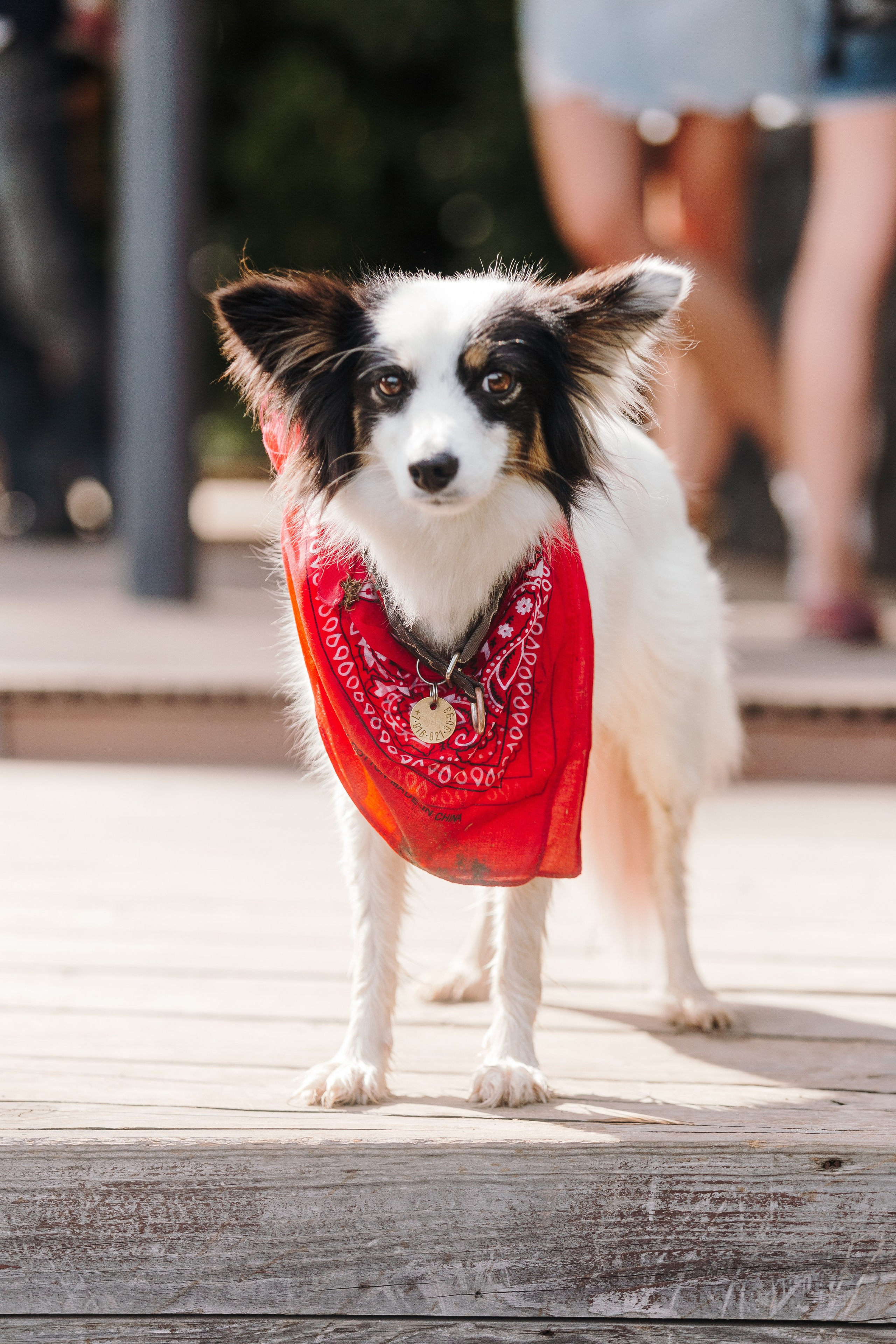 Petshop Sup day. Фотограф анималист Кристина Карпова, Москва