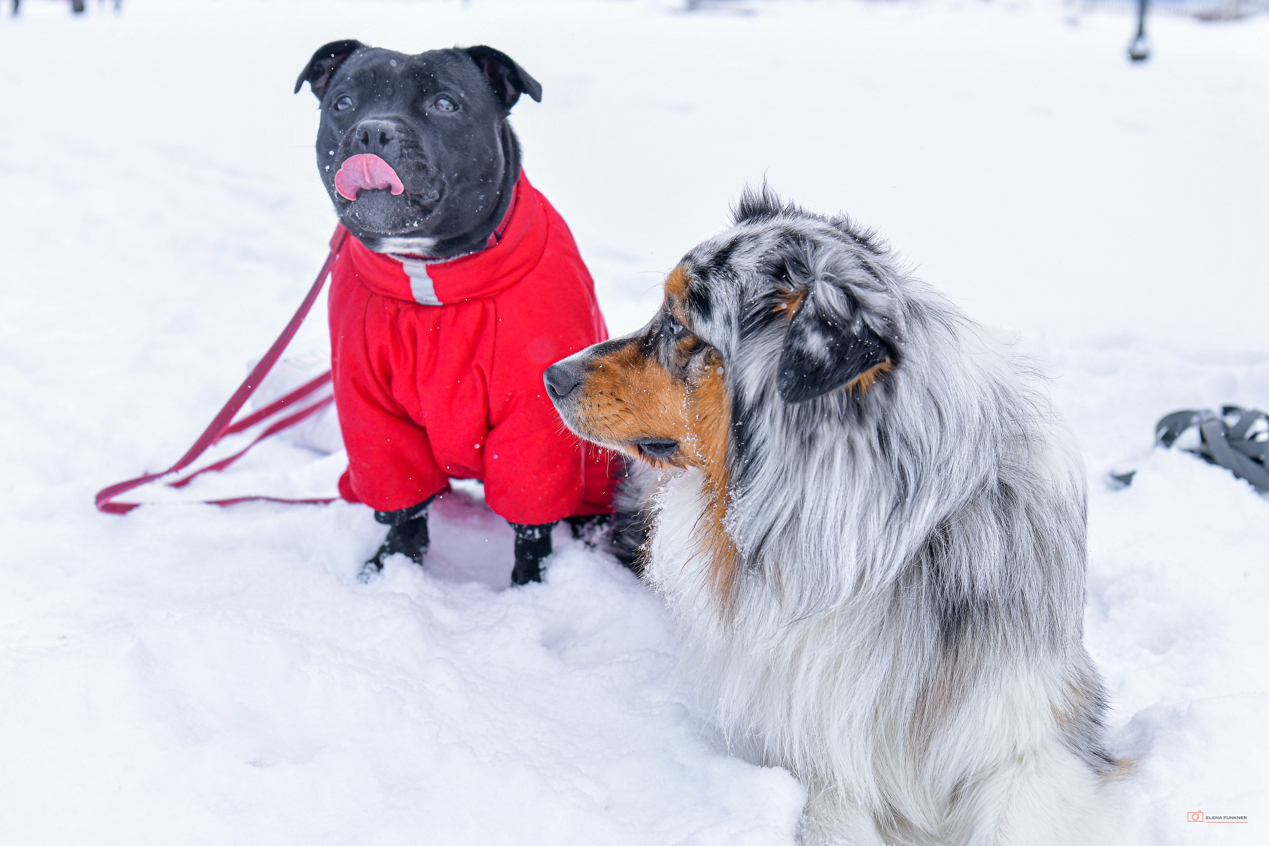 Зима. Свой взгляд через объектив