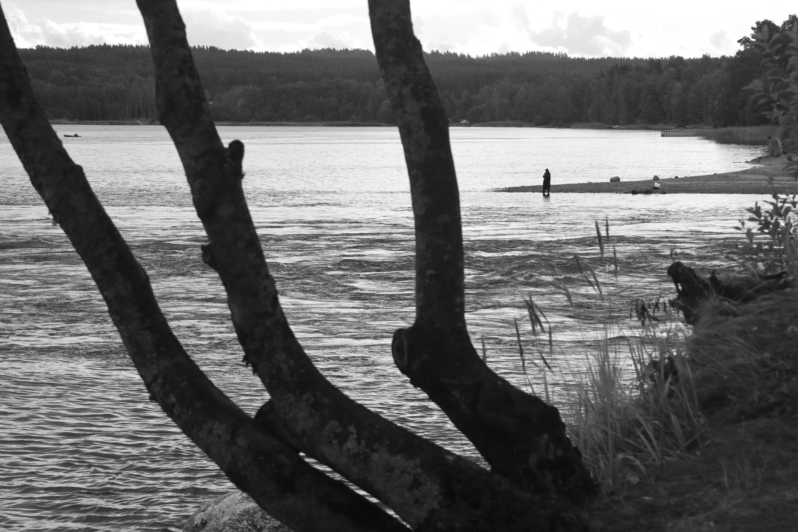 У воды. Главная