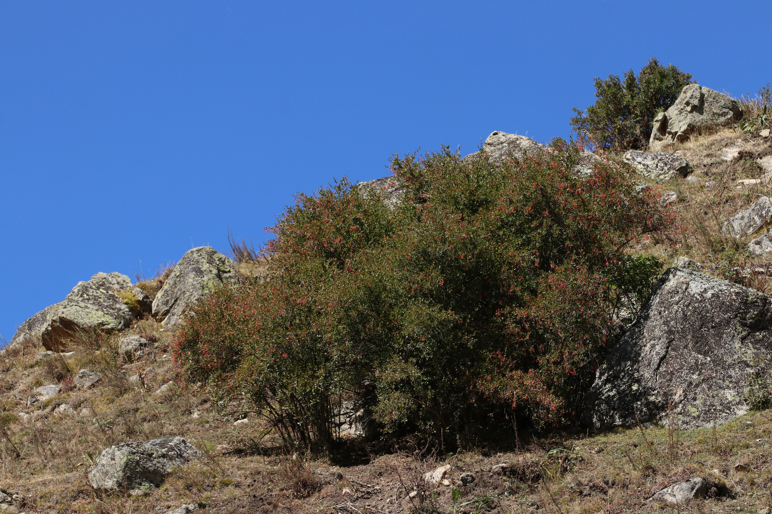 Приэльбрусье. Сентябрь 2023. Путешественник-фотограф из Санкт-Петербурга Татьяна Свистулина