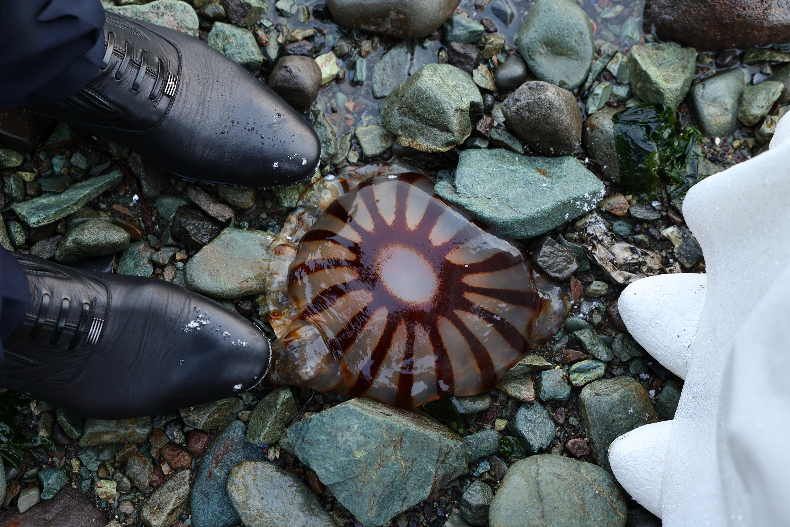 Юрий & Татьяна. Фотограф Камчатка | Светлана Рей