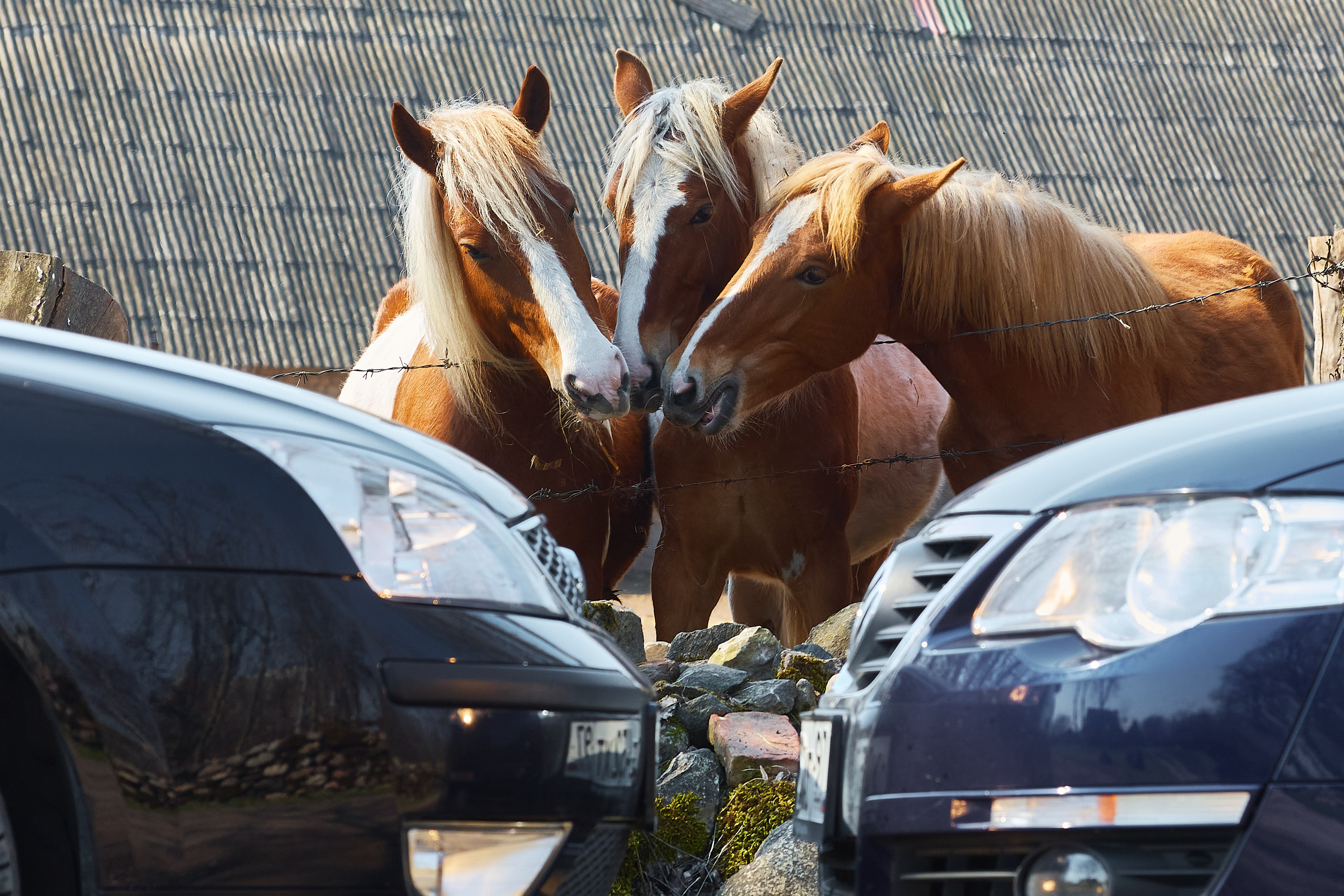 Редакционная и новостная фотография. Сергей Грачев профессиональный фотограф в Санкт-Петербурге