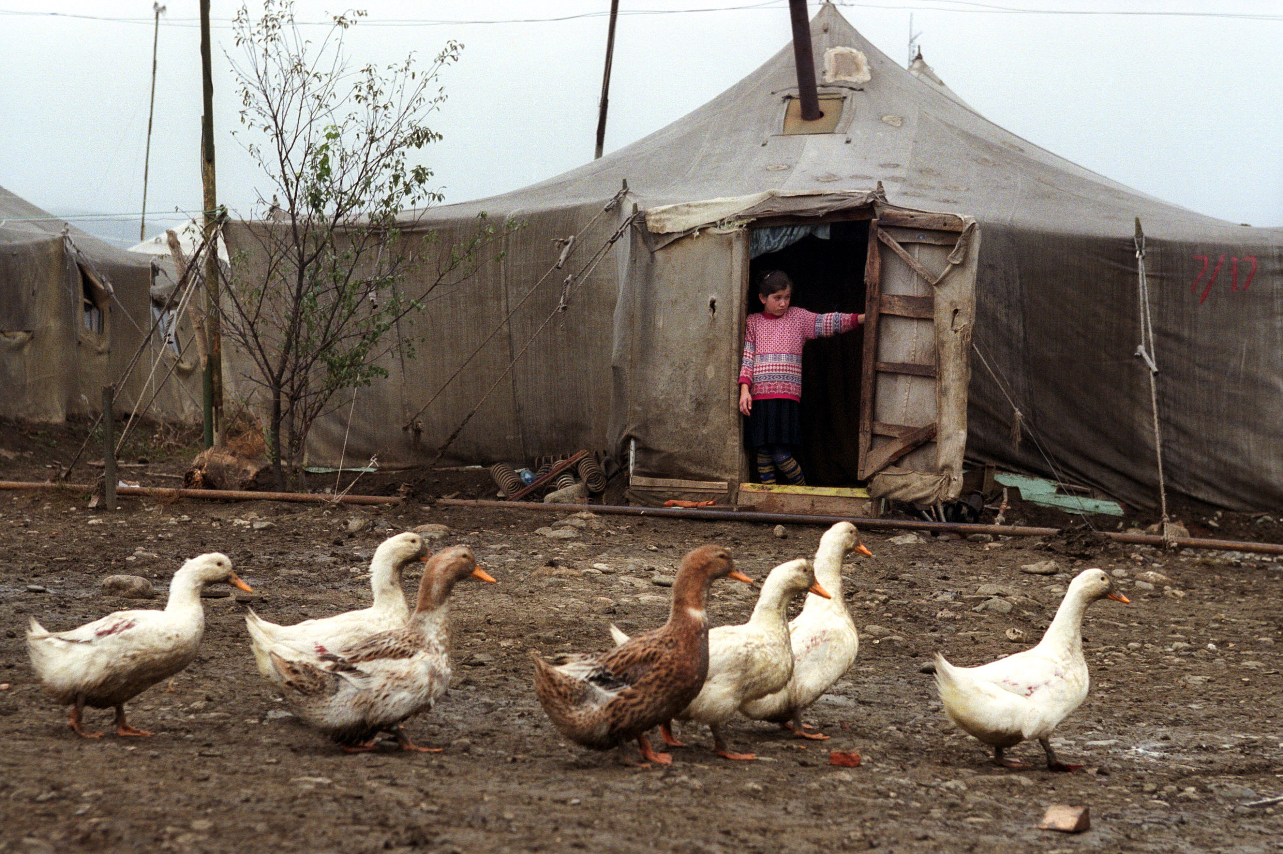 Редакционная и новостная фотография. Сергей Грачев профессиональный фотограф в Санкт-Петербурге