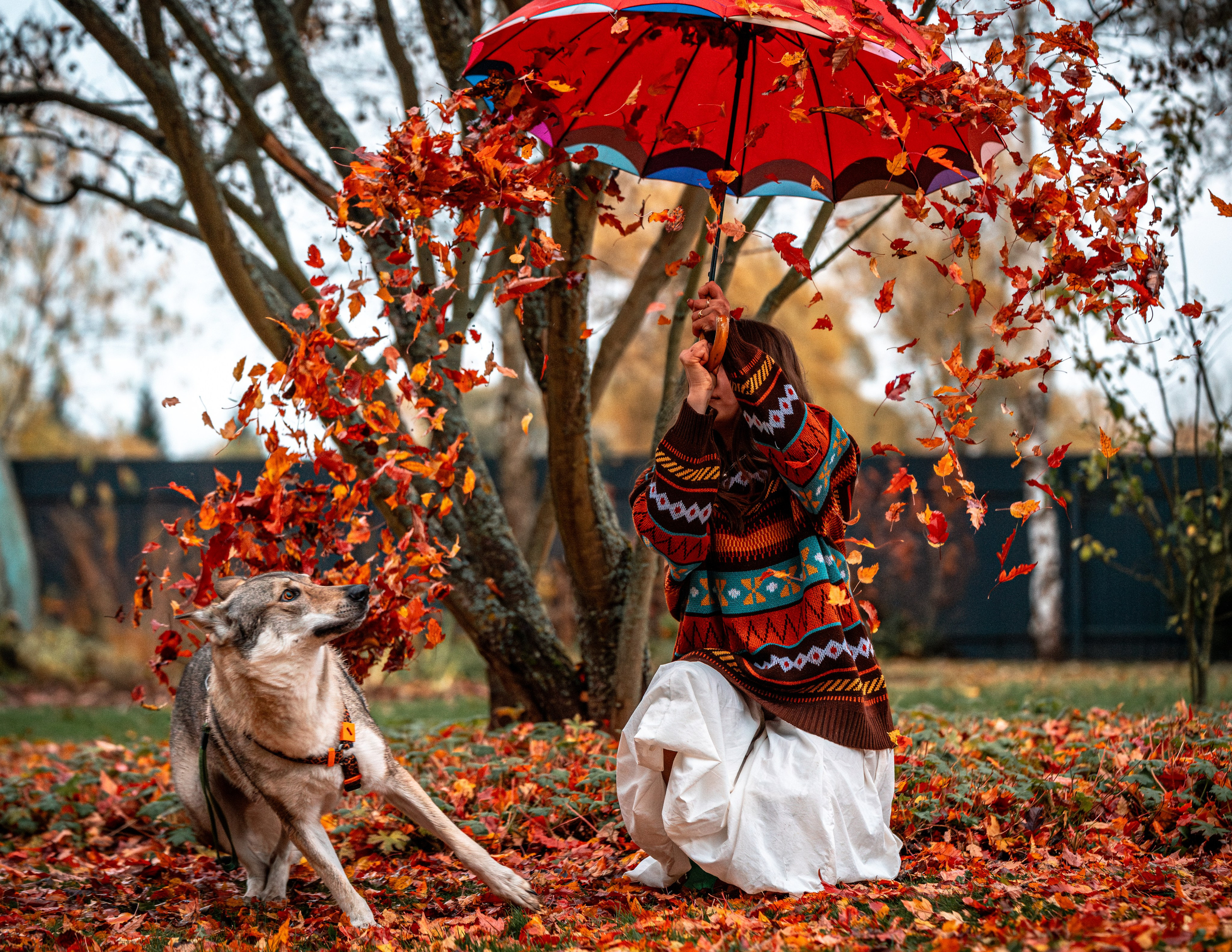 ФОТОПАМЯТЬ ВАШИХ ЭМОЦИЙ. Фотограф-анималист, семейный фотограф в Москве и Подмосковье. Фотосъёмка кинологических дисциплин