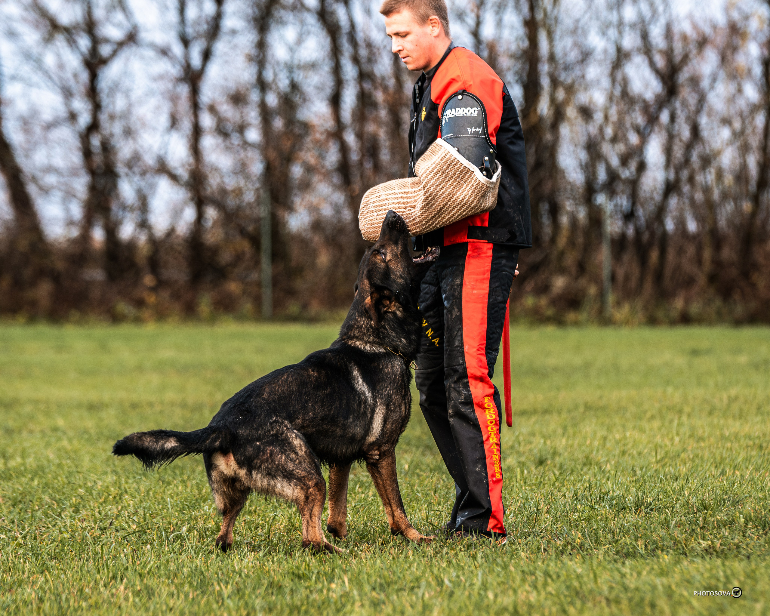 МЫ — КОМАНДА (соревнования) OKD, BH, IBGH, IGP. Фотограф-анималист, семейный фотограф в Москве и Подмосковье. Фотосъёмка кинологических дисциплин
