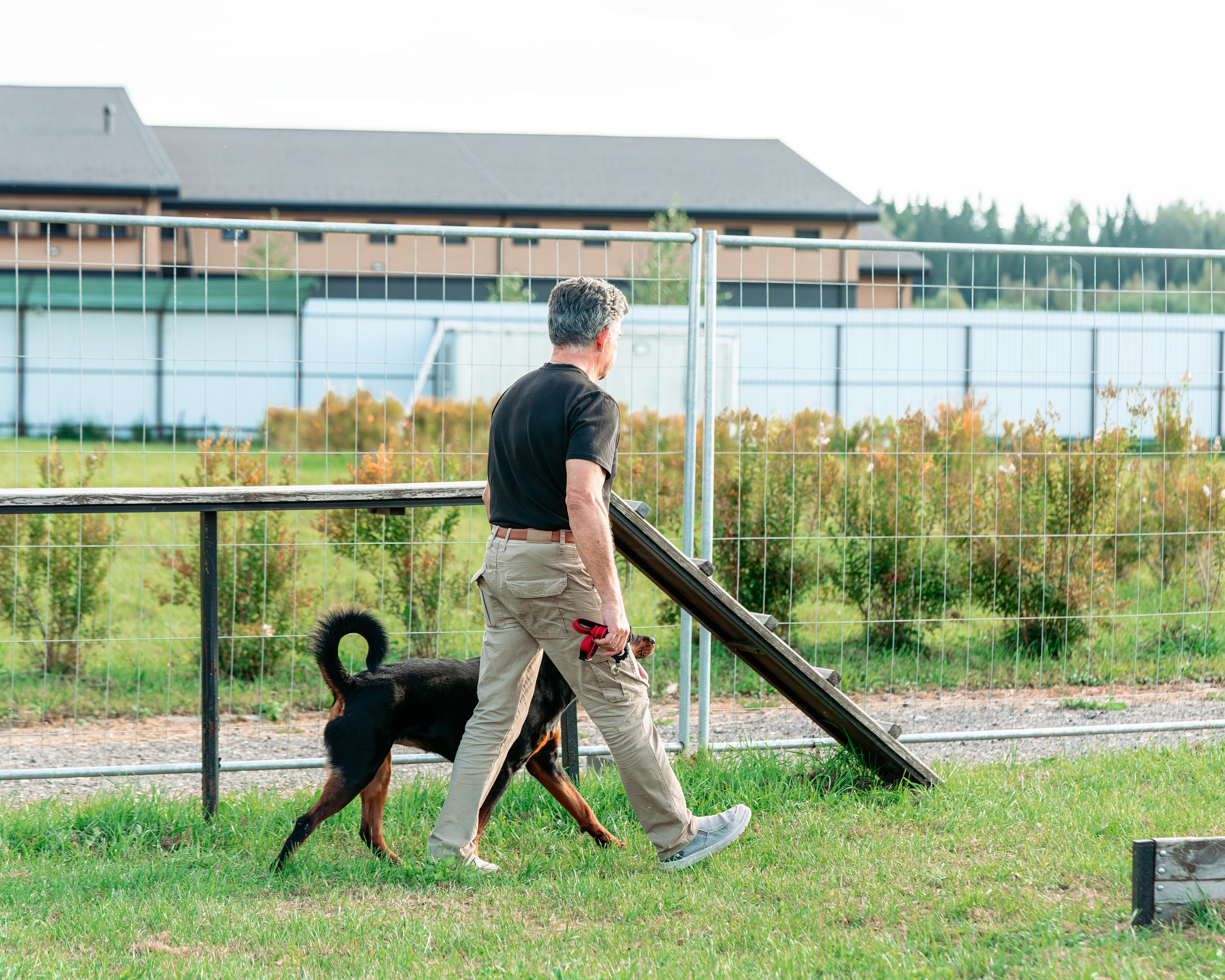 Ваш путь к ПОБЕДЕ (ТРЕНИРОВКИ). Фотограф-анималист, семейный фотограф в Москве и Подмосковье. Фотосъёмка кинологических дисциплин