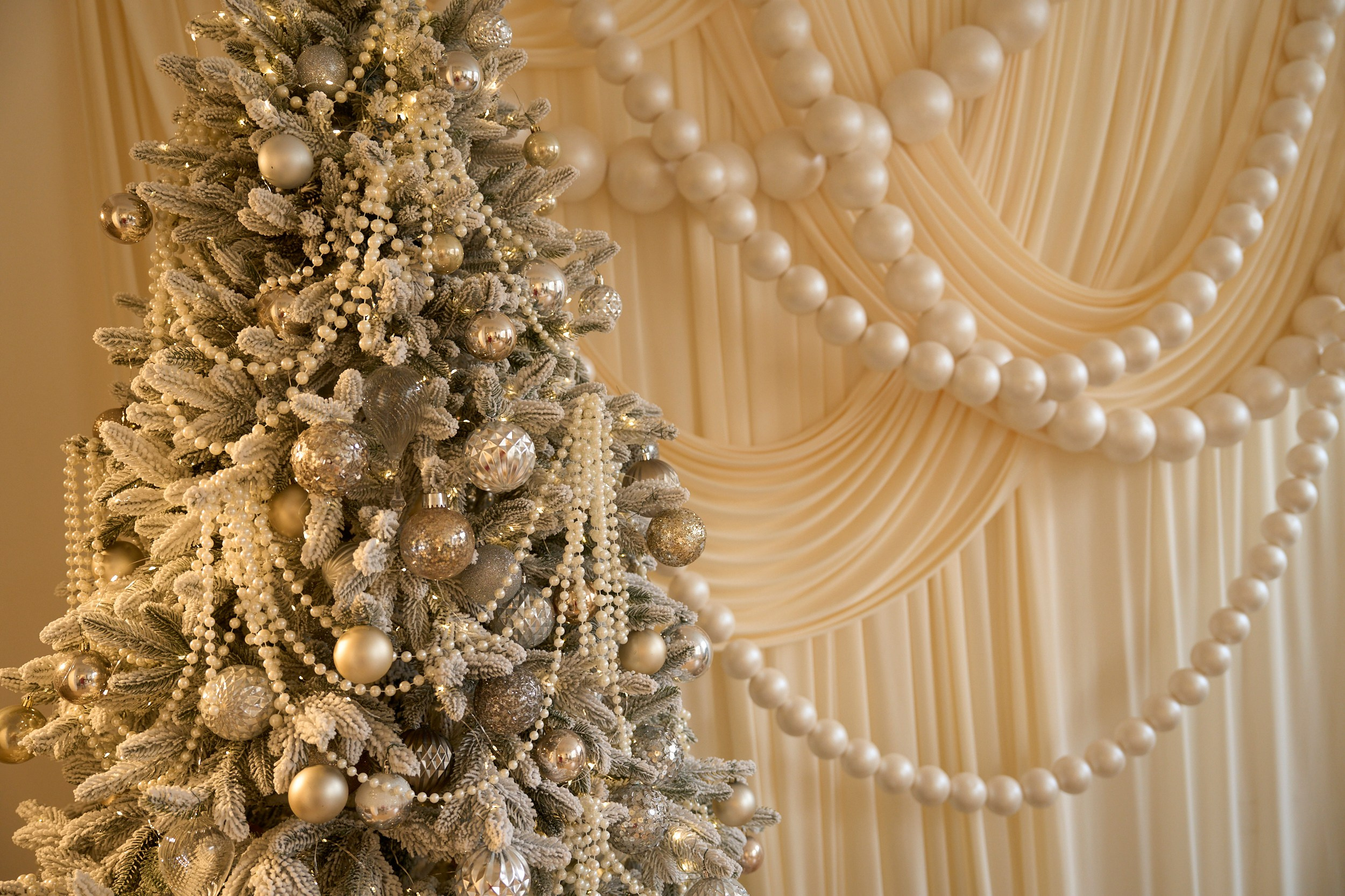 Париж (Paris). Фотограф г. Хабаровск. Семейные и индивидуальные съёмки