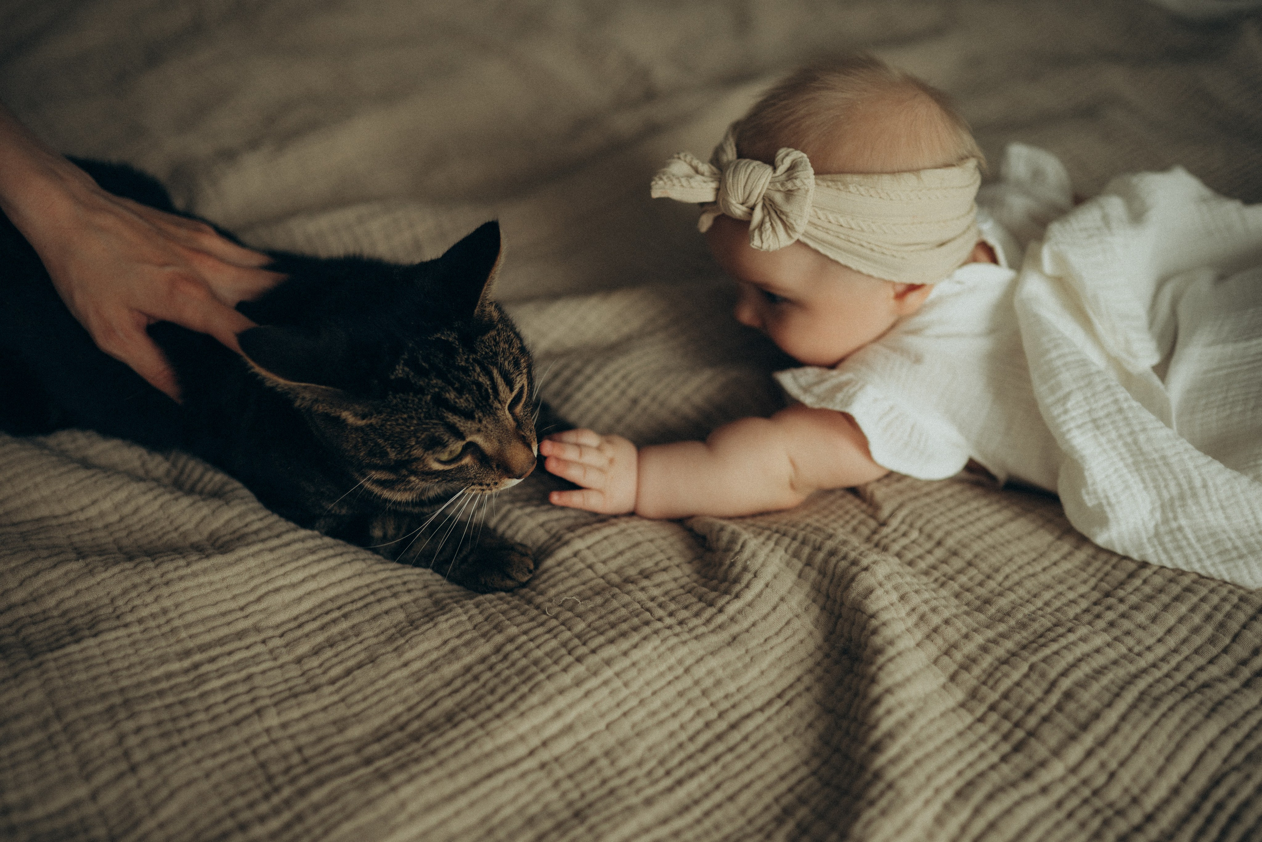 Анна и Мия. Семейный lifestyle фотограф в Москве Рената Рафикова